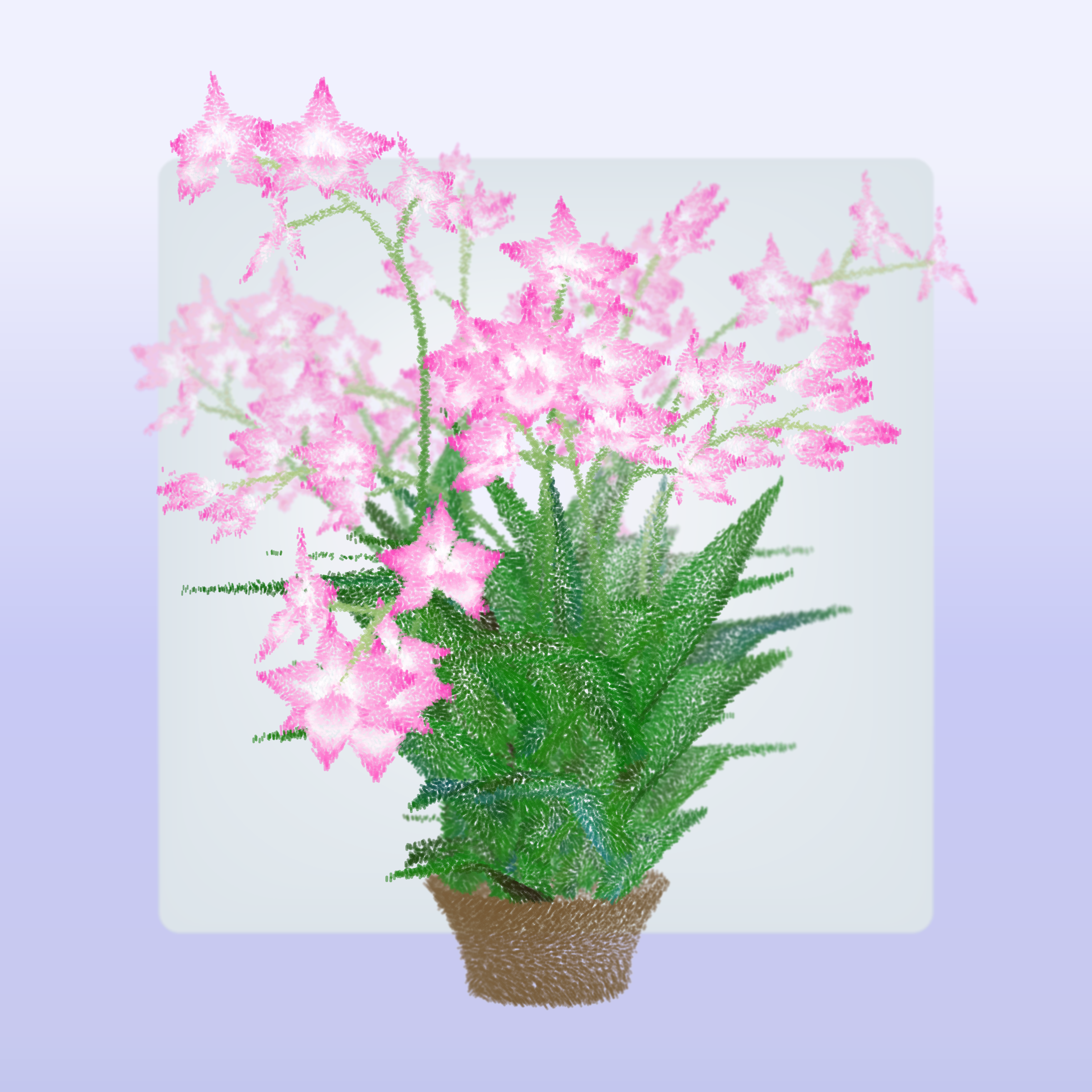 Cattleya #61
