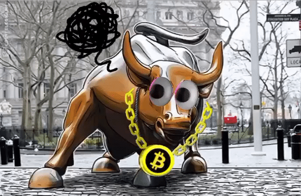 a Gift from the Bull's
