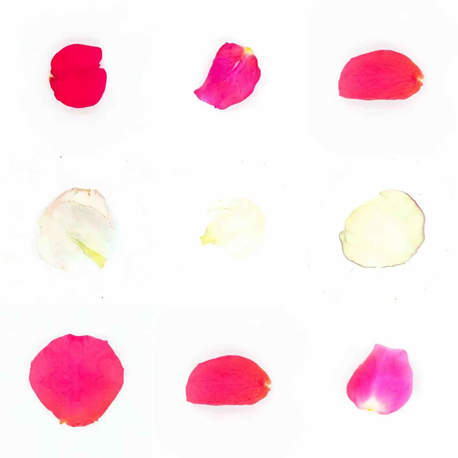 Infinite Petals 3x3#3330