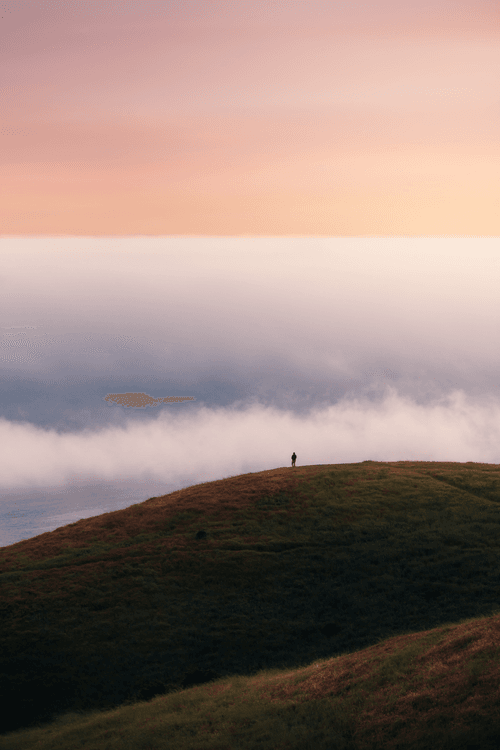 Distance Traveled 25: Tam