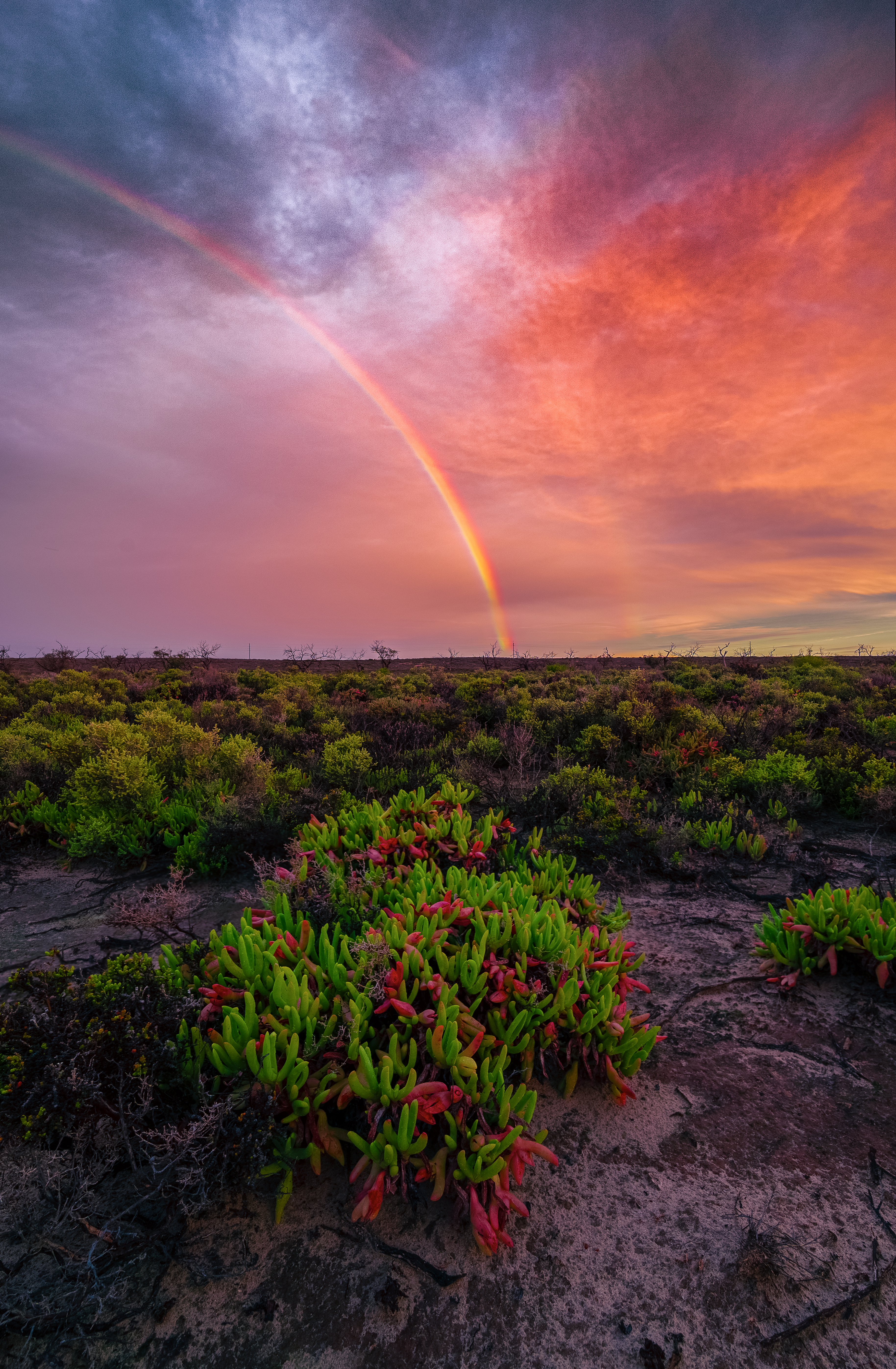 Reverse Rainbow