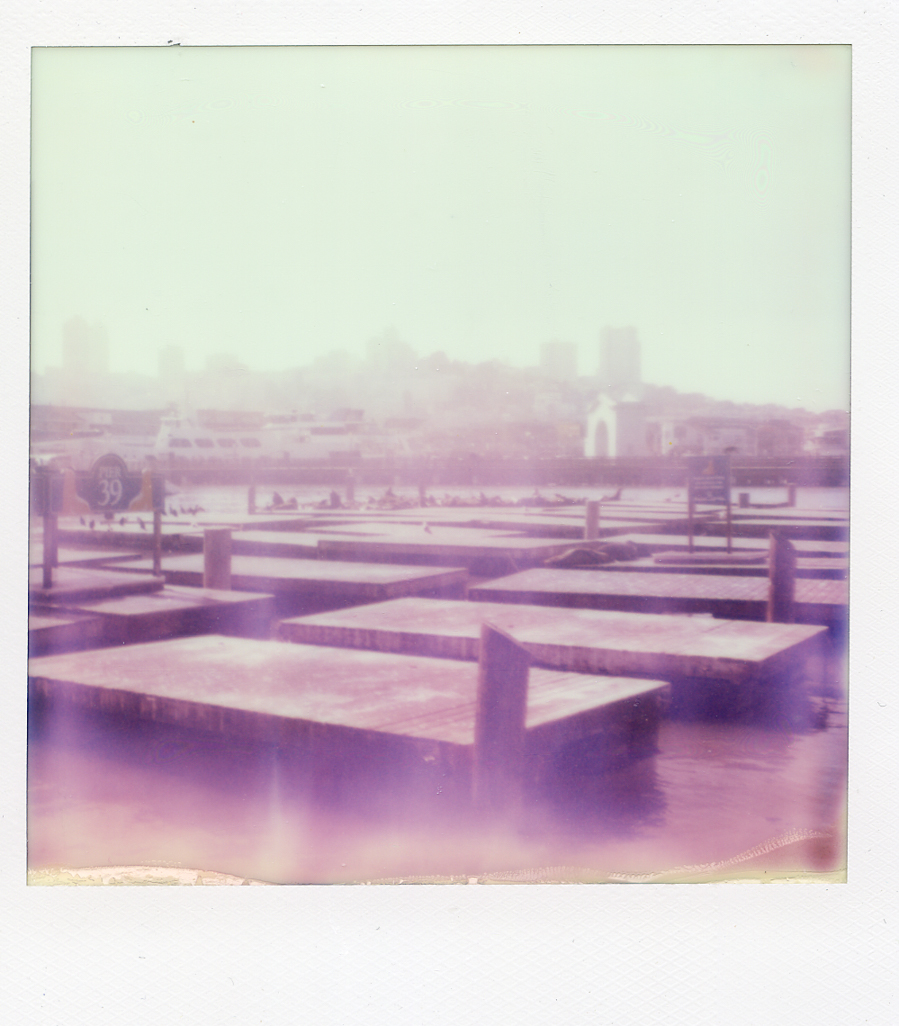 Purple Wharf