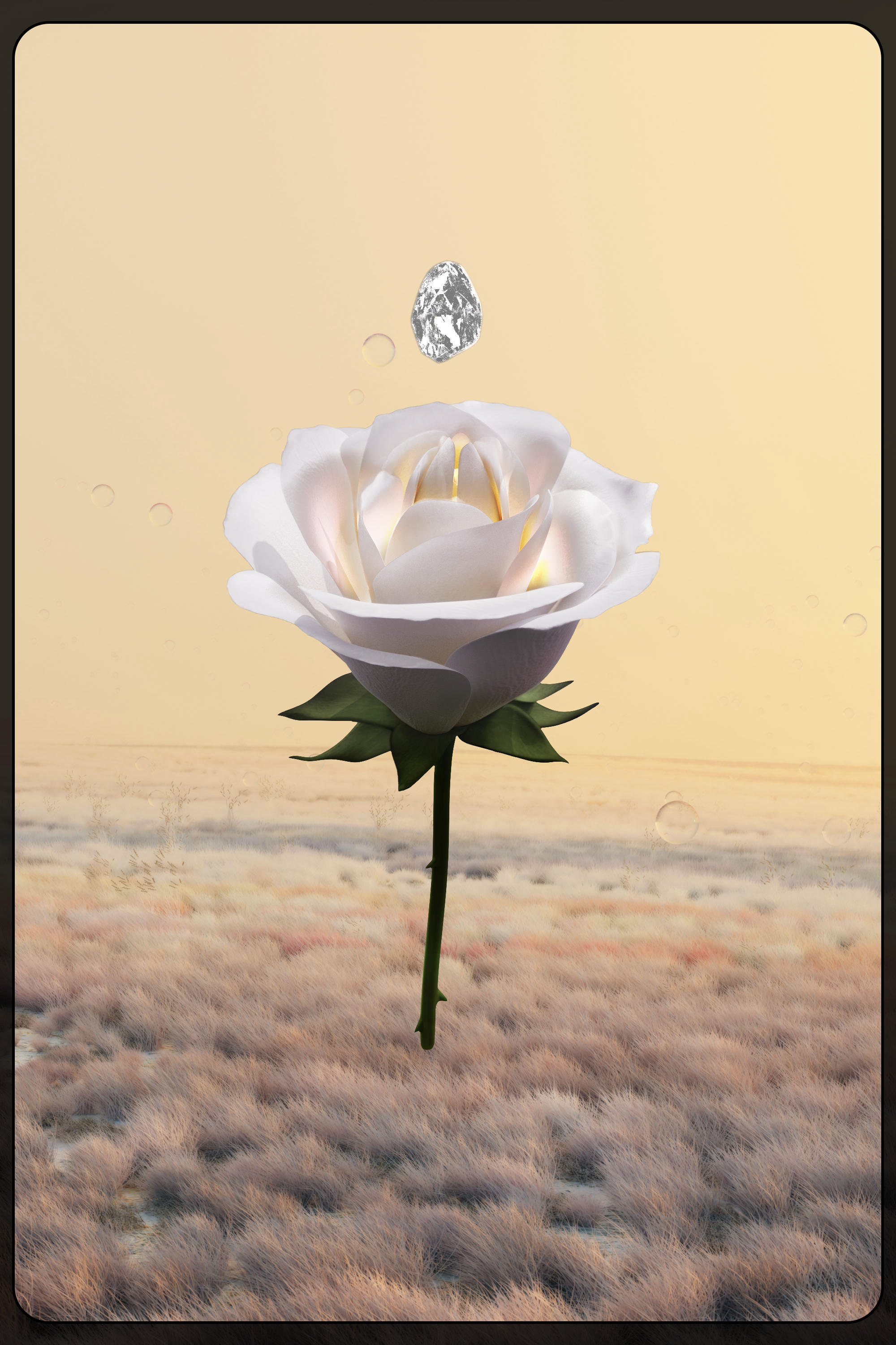 Eternal Rose 47