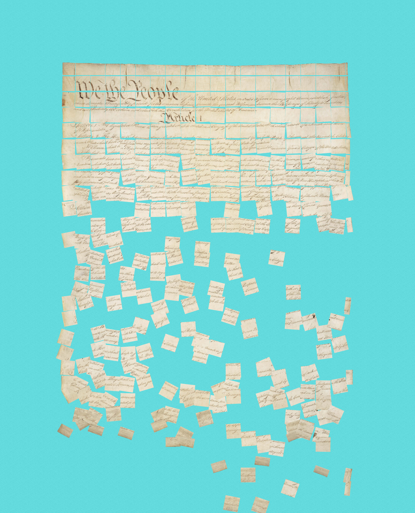 Constitution Fractionalized #773