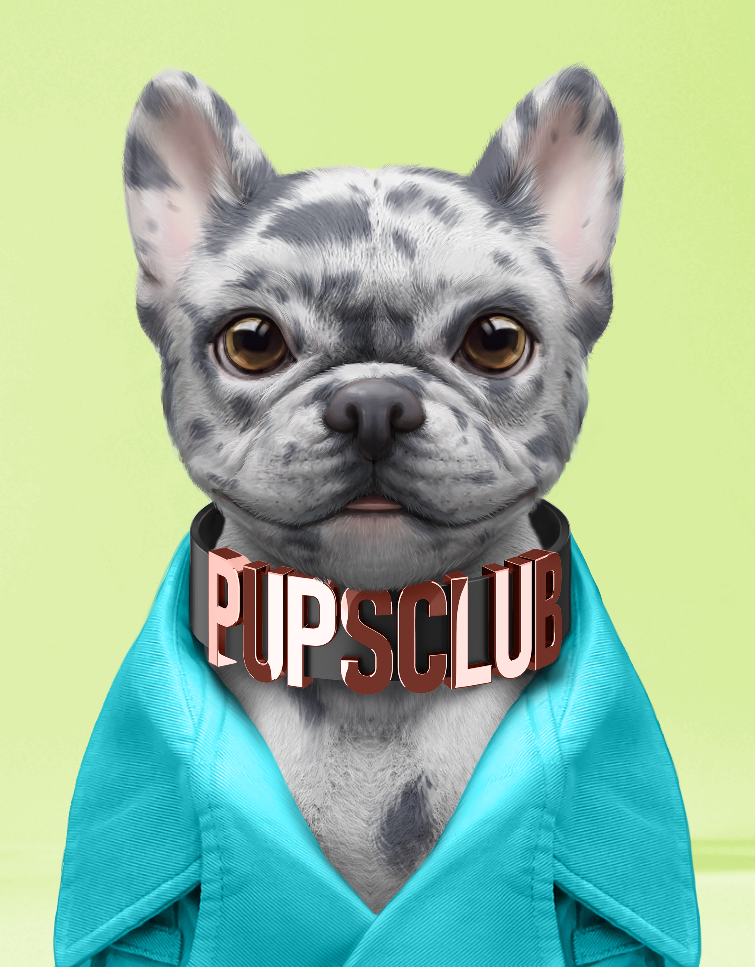 Pup #9016