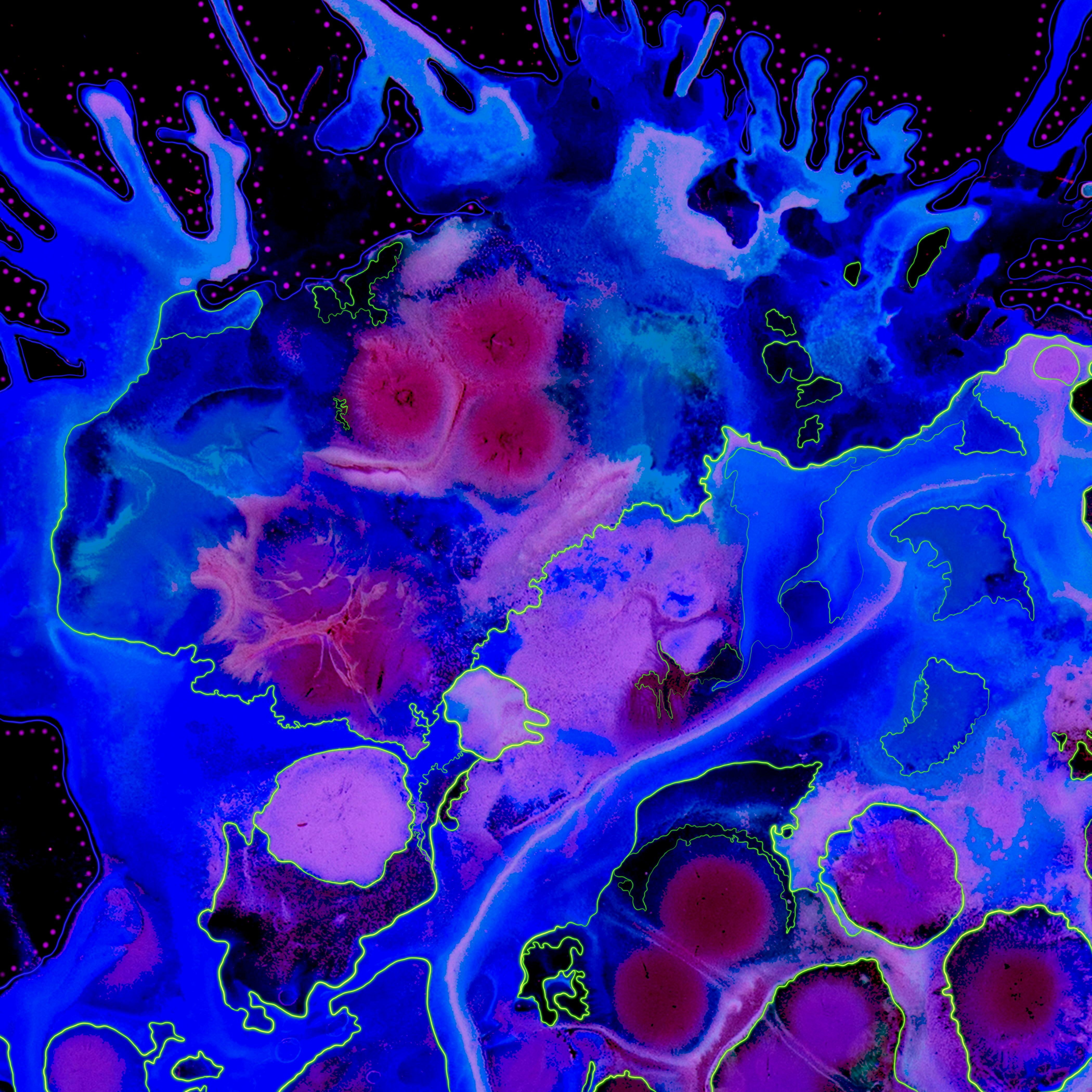 Aquatica #185