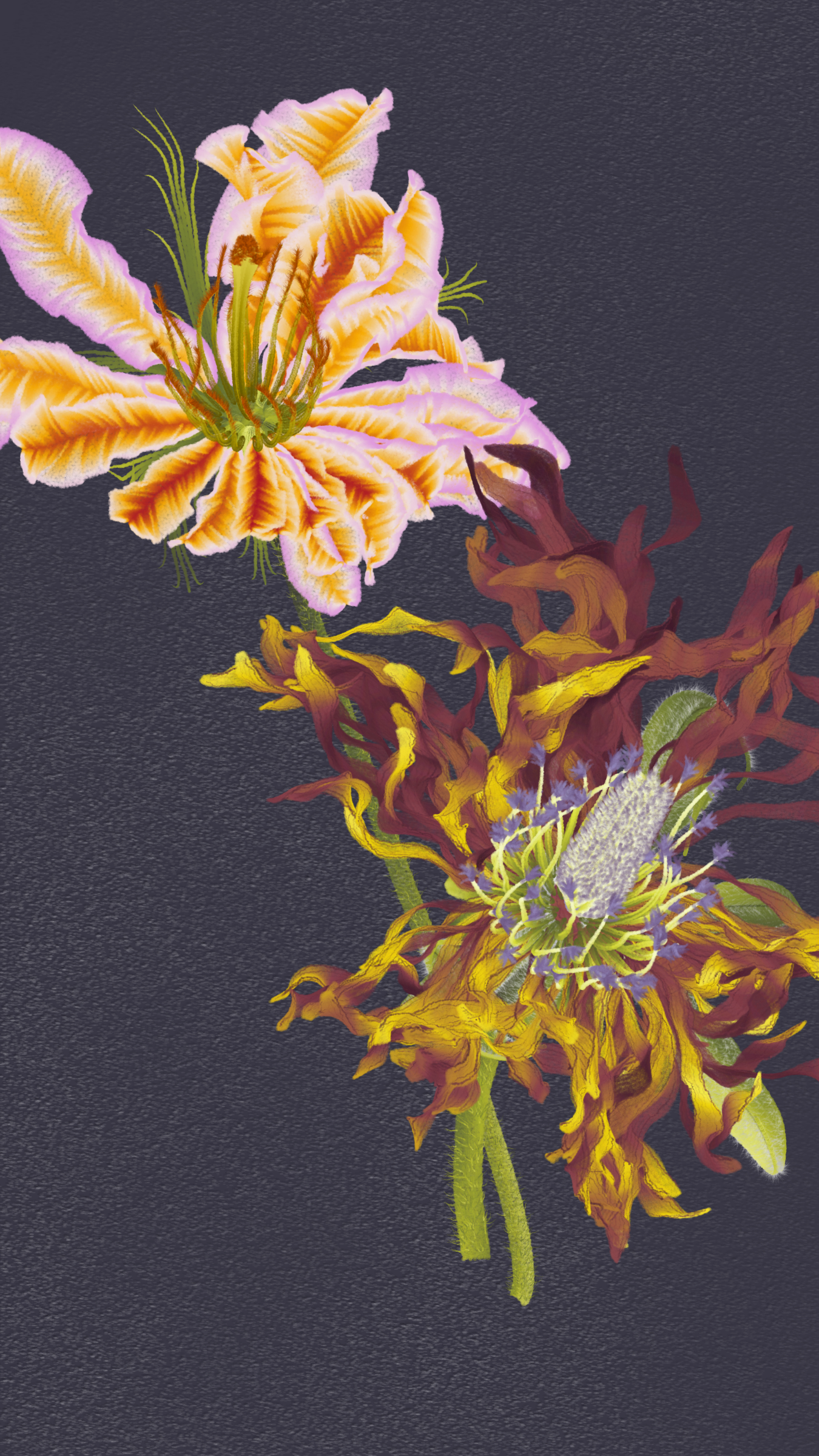 Delirium Blooms #33