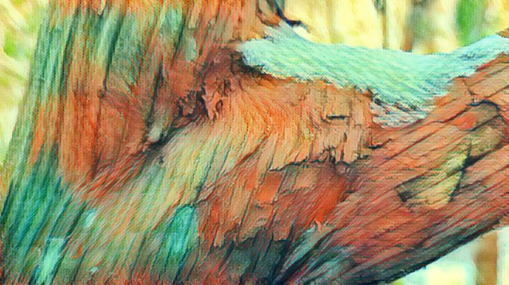 Brush Tree