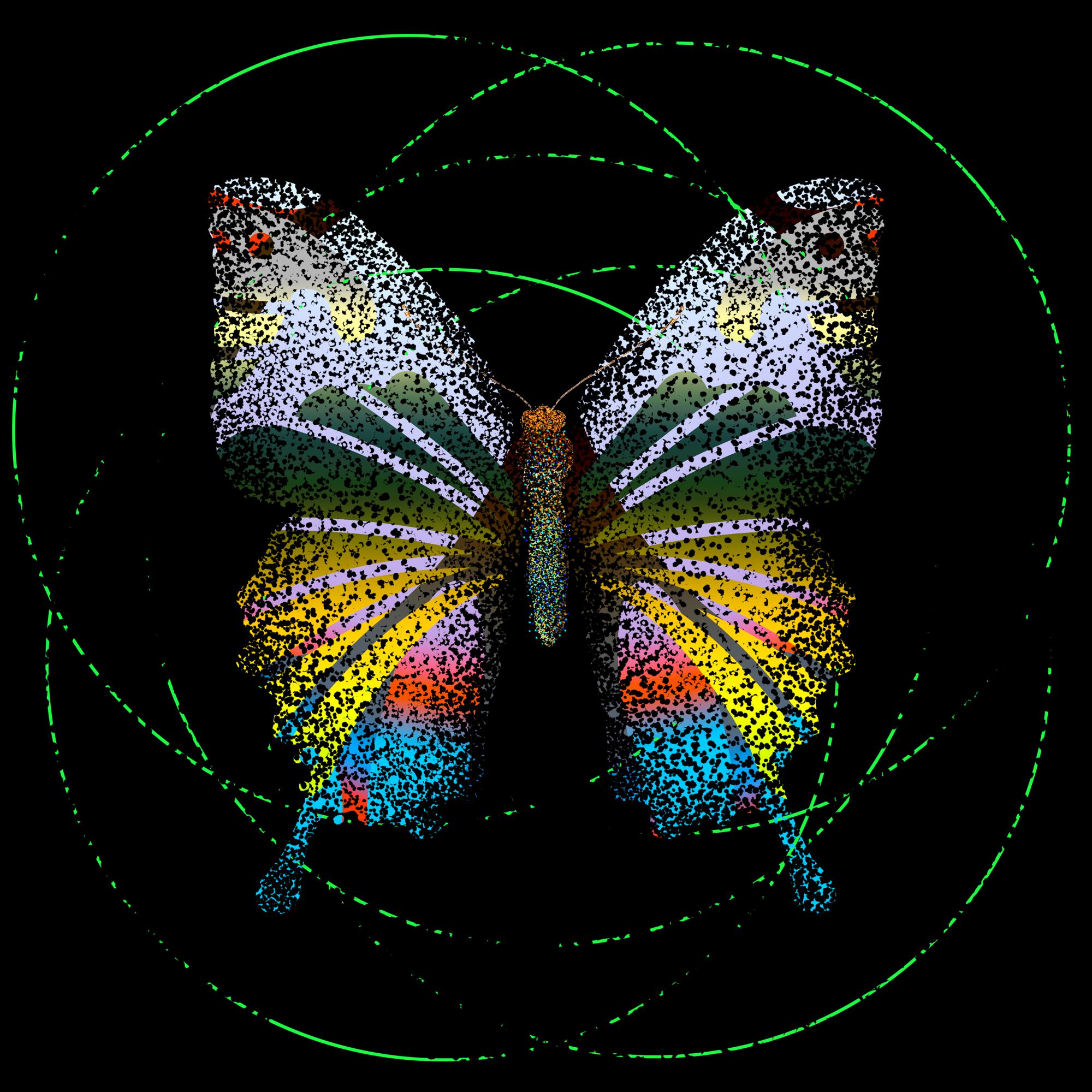 Monarch #569