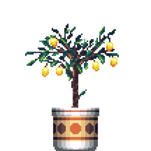 Lemon Tree in Large Premium Pattern pot