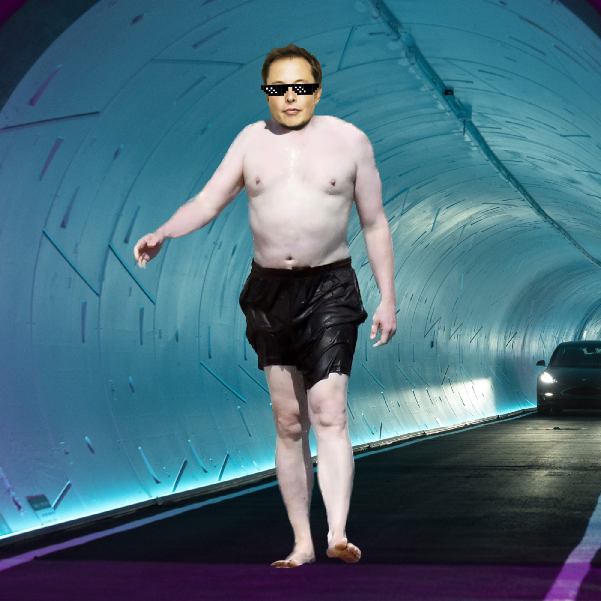 Elon Digital Trading Card #347