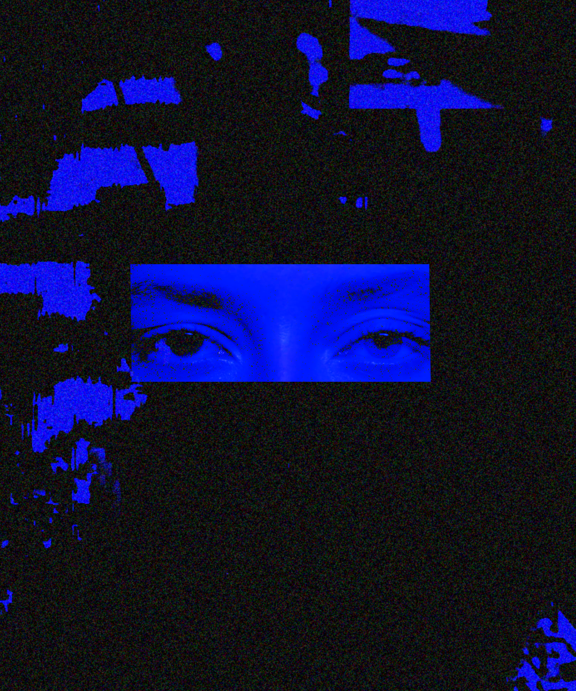Contato