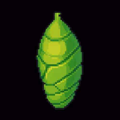 Pupas