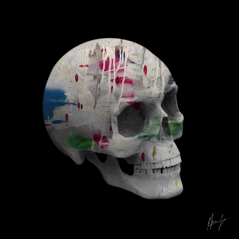 SKULLS BY PIERRE #006