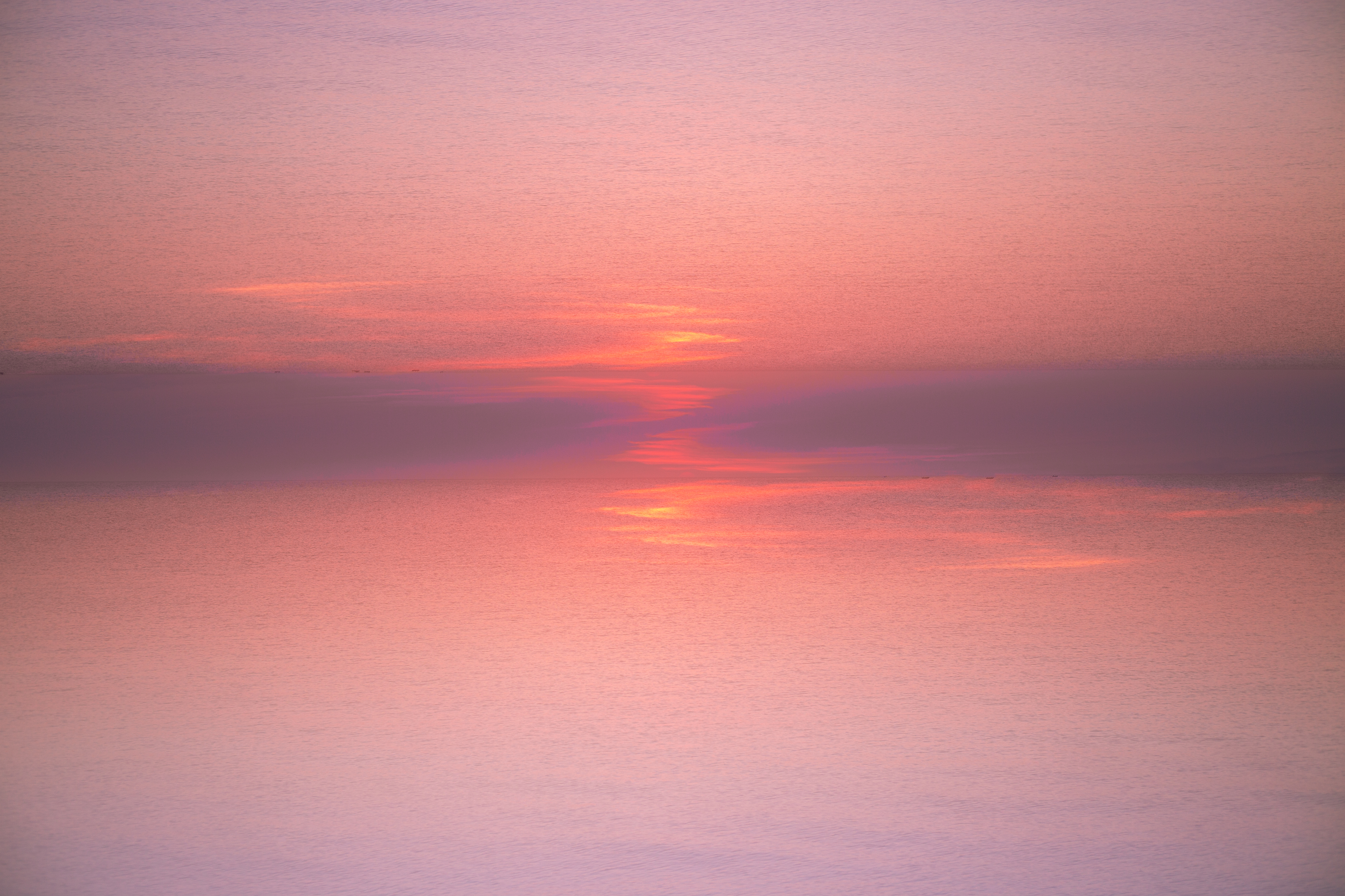 Peach Dreams