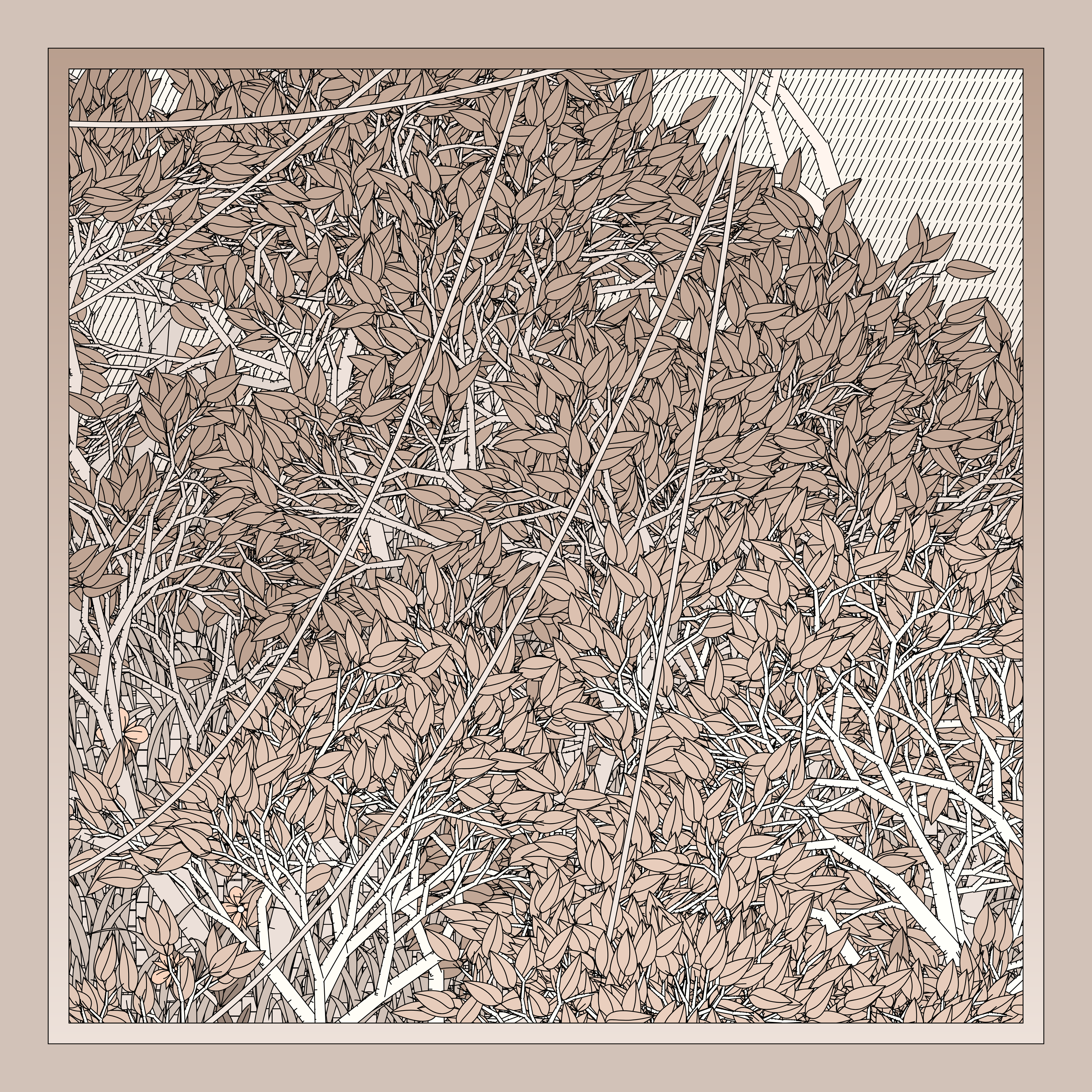 Entangled #138