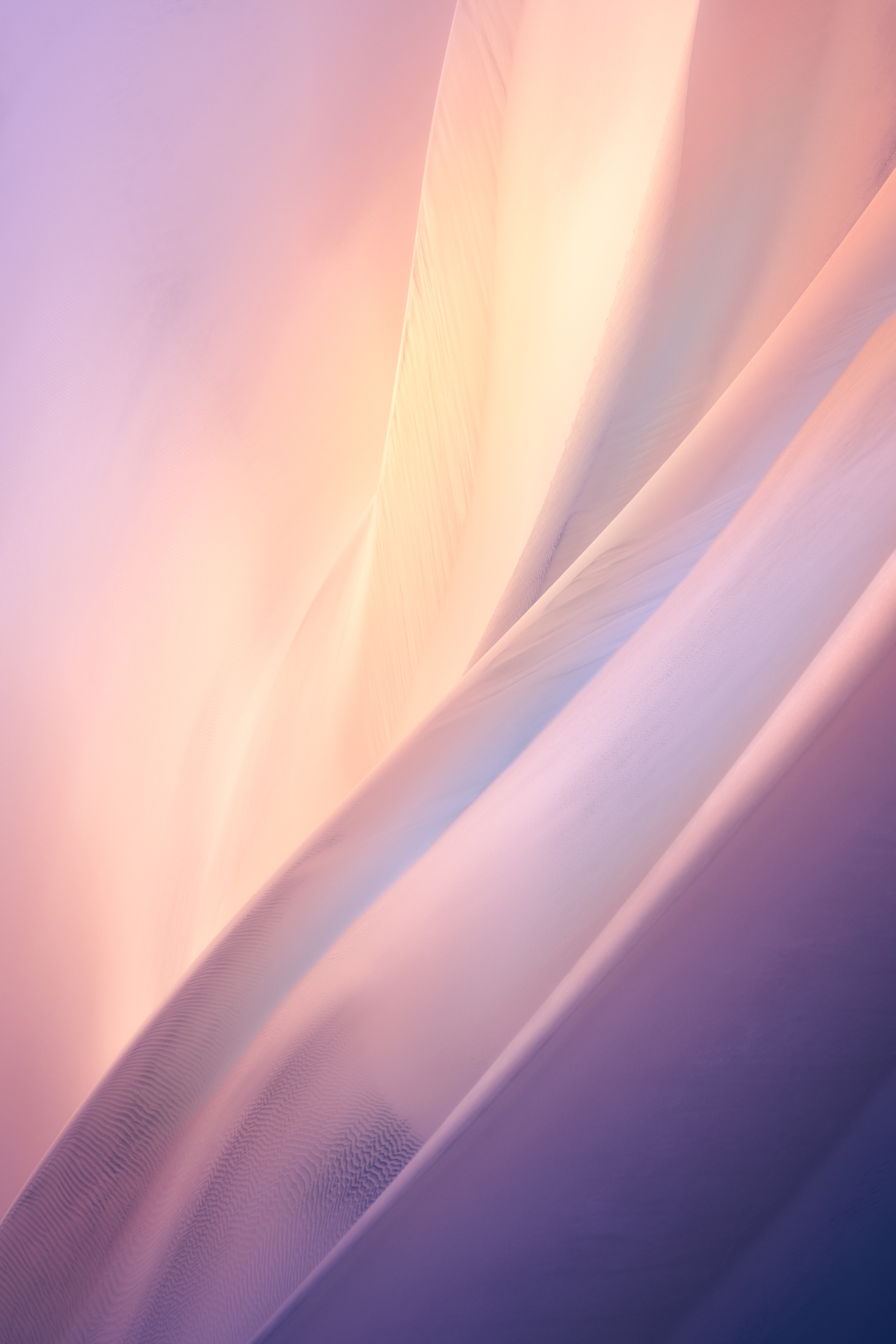 Bloom