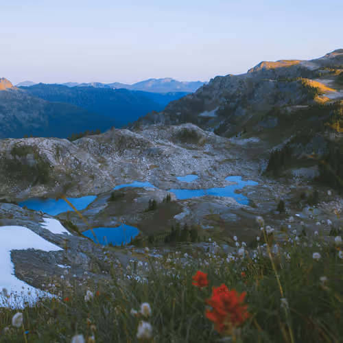The Summer Color Pallete