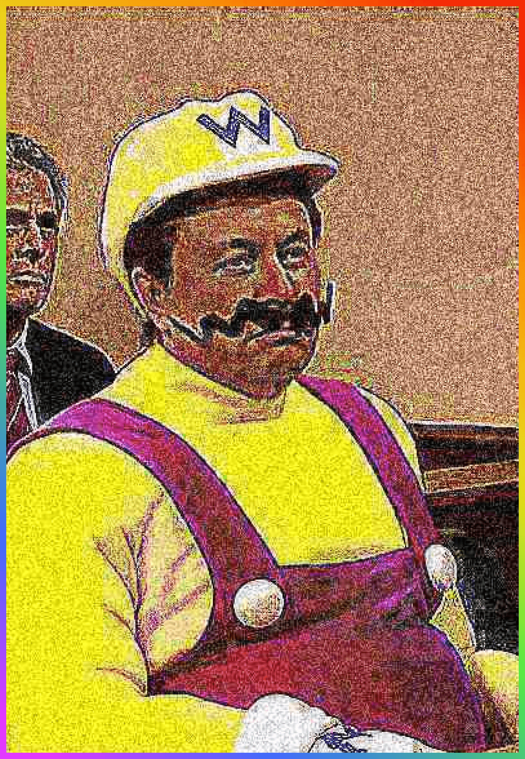 DEEP FRIED WARIO