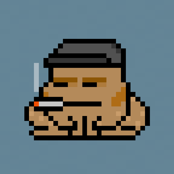 Toad Punks #763