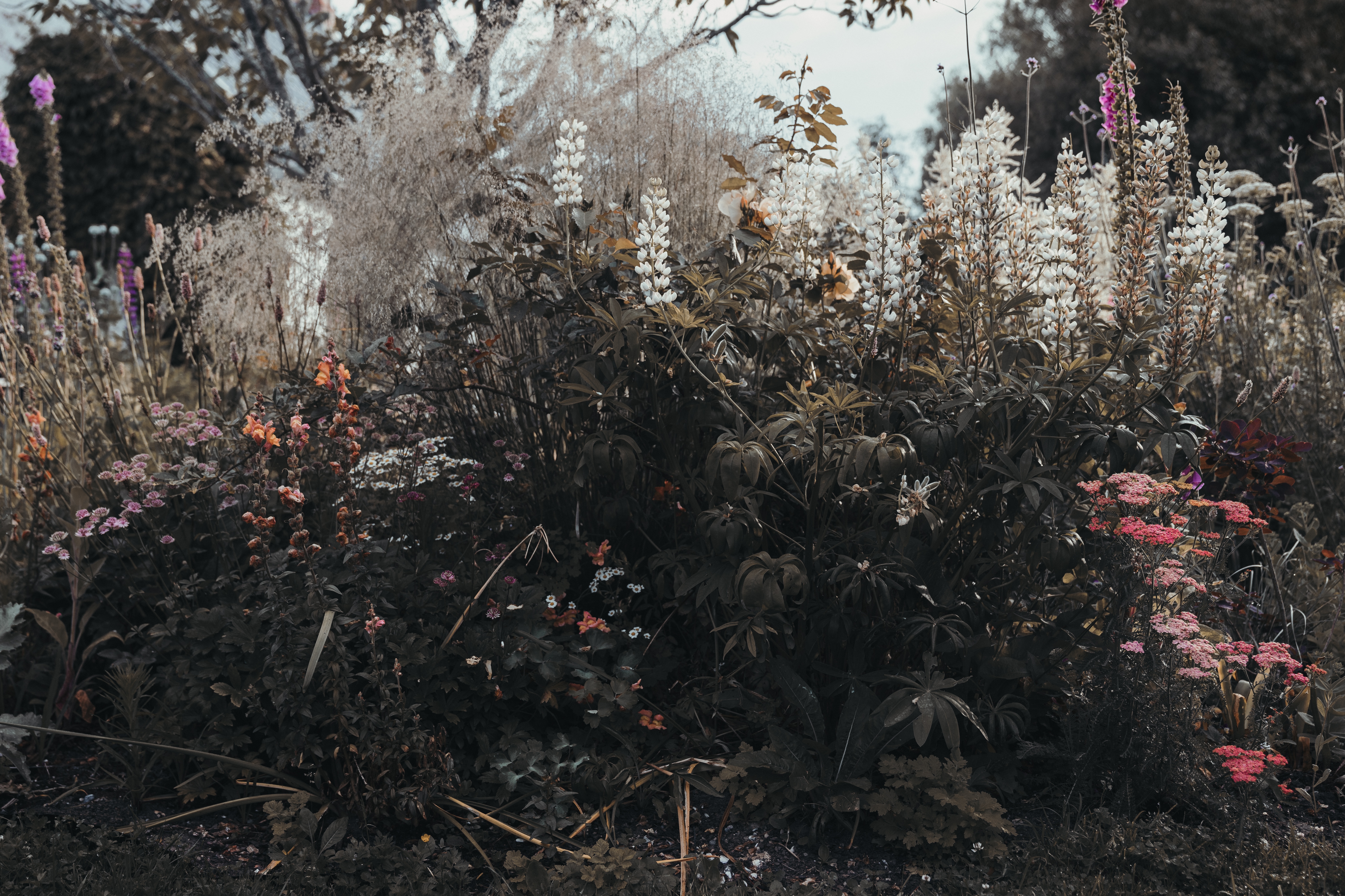 Garden of Eden II