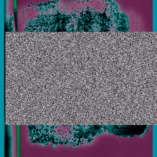 Taline Temizian, AIRMOS- Noisefields
