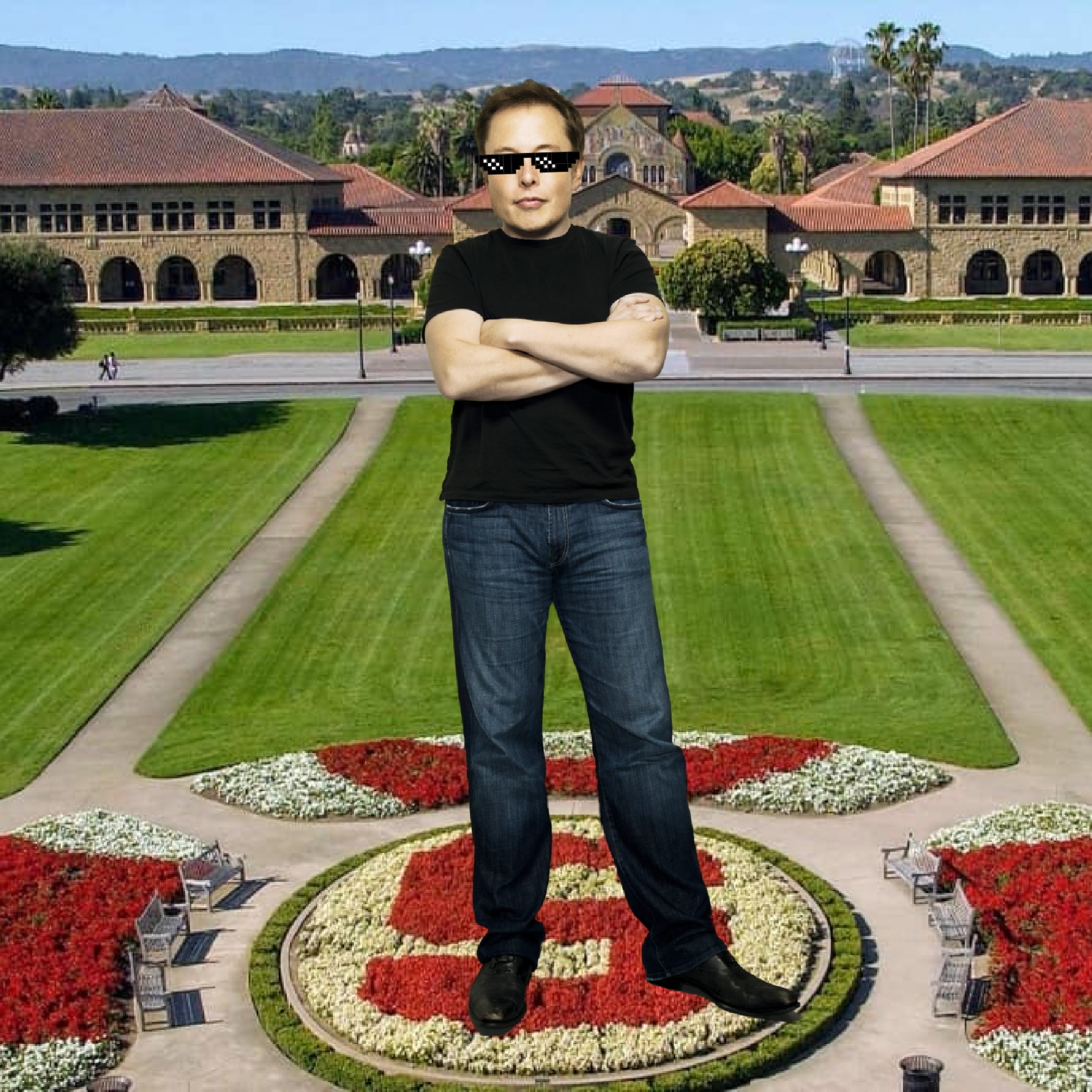 Elon Digital Trading Card #1671