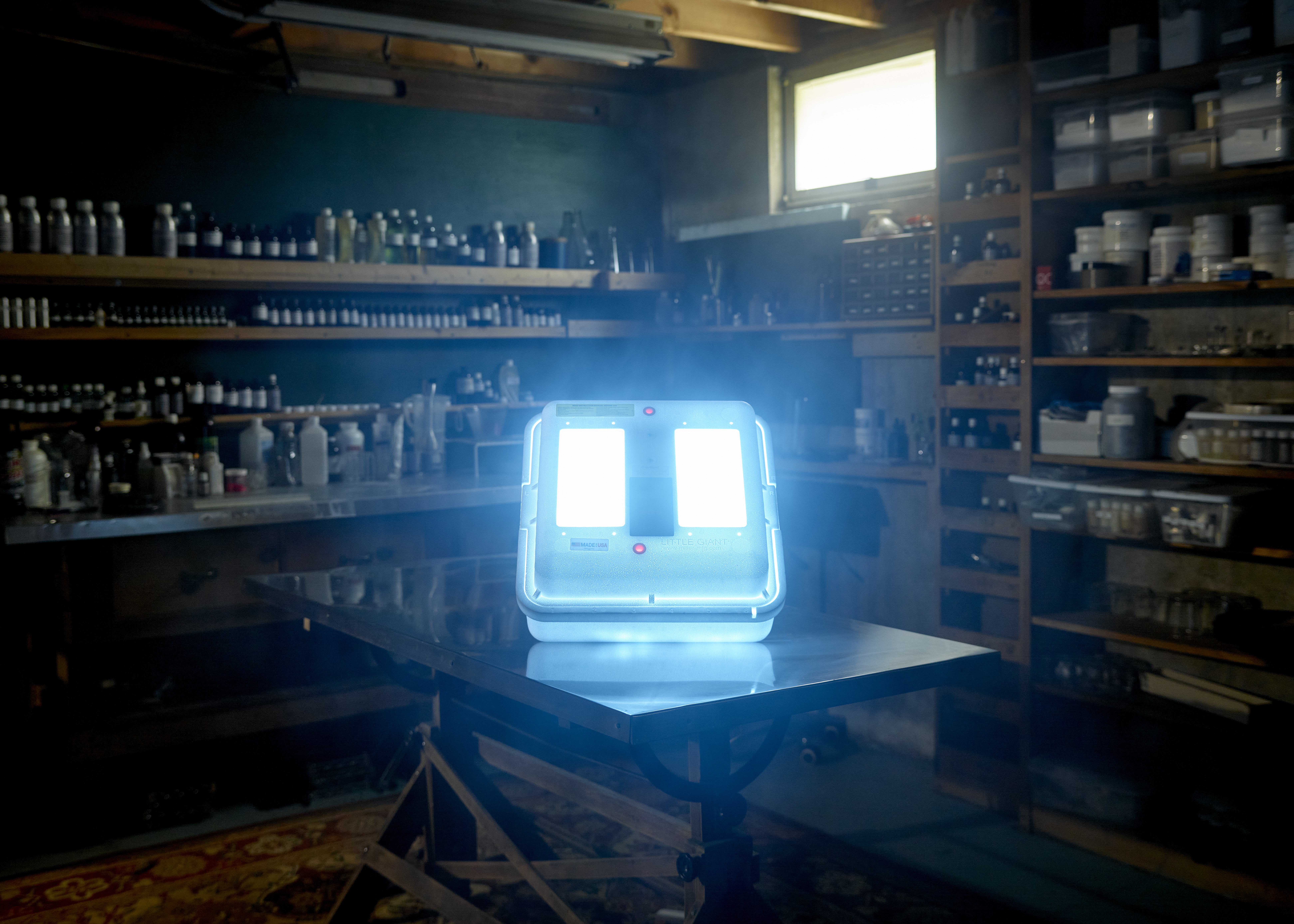 The Incubator 386