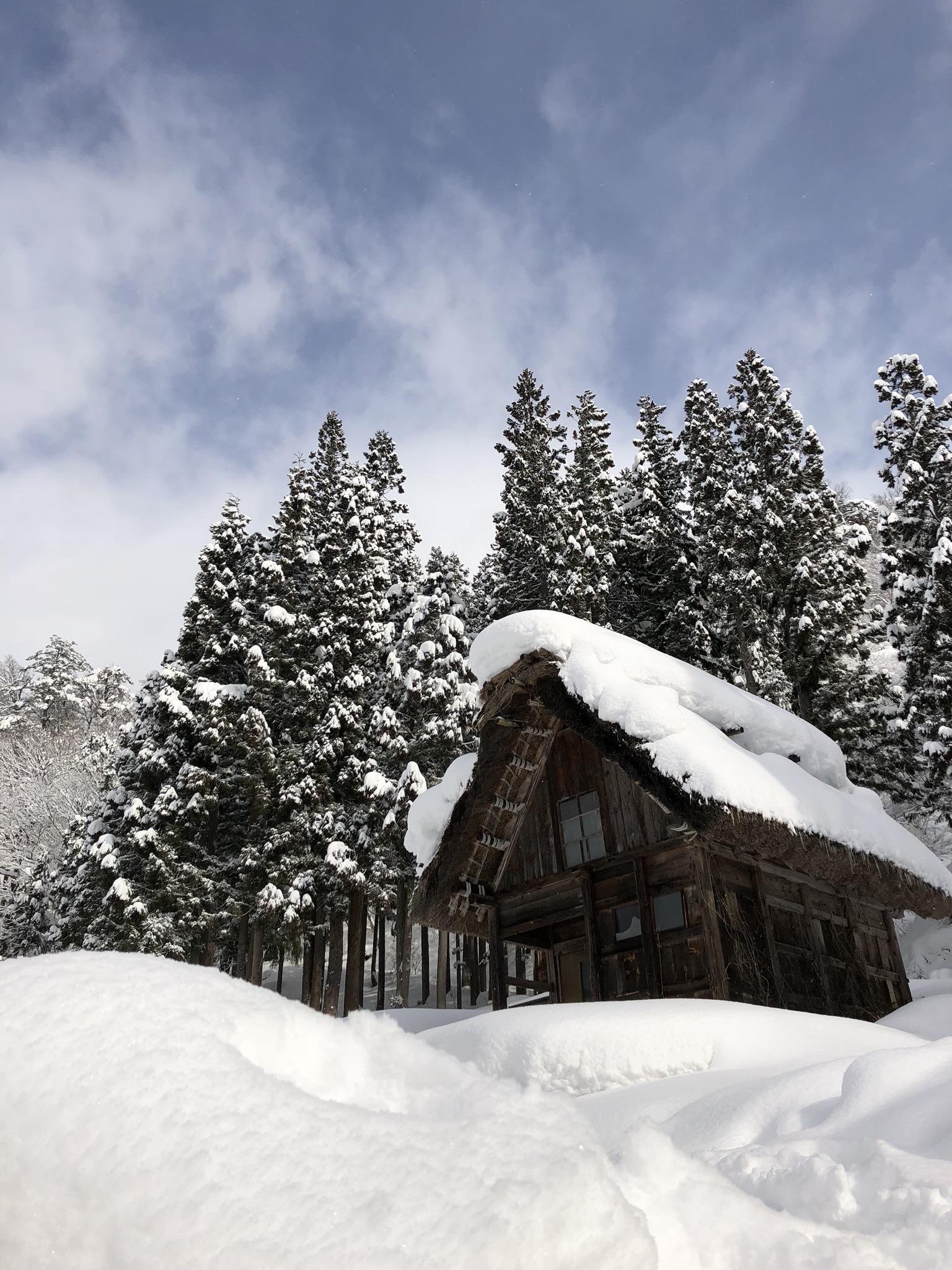 Shirakawago