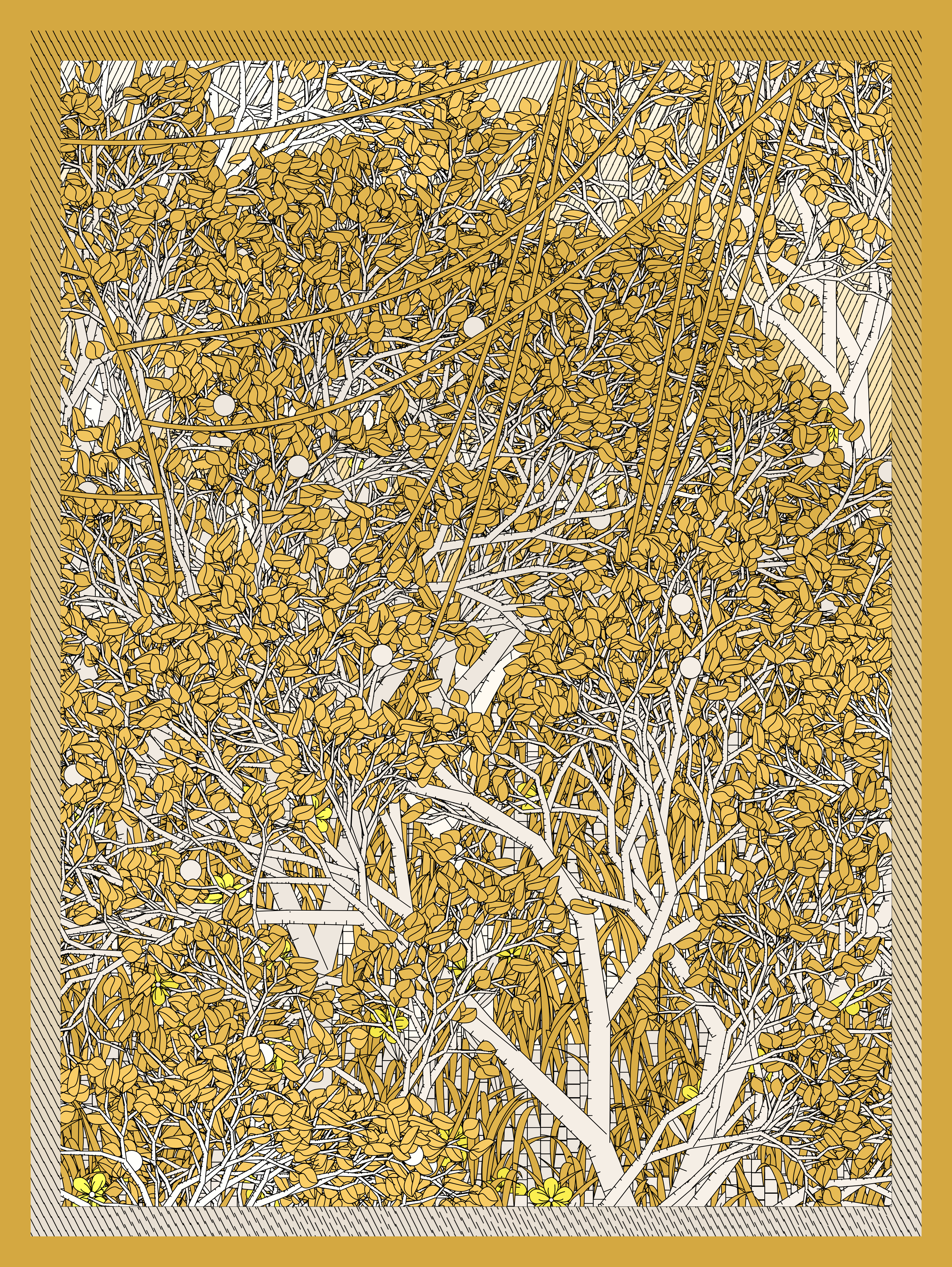 Entangled #25