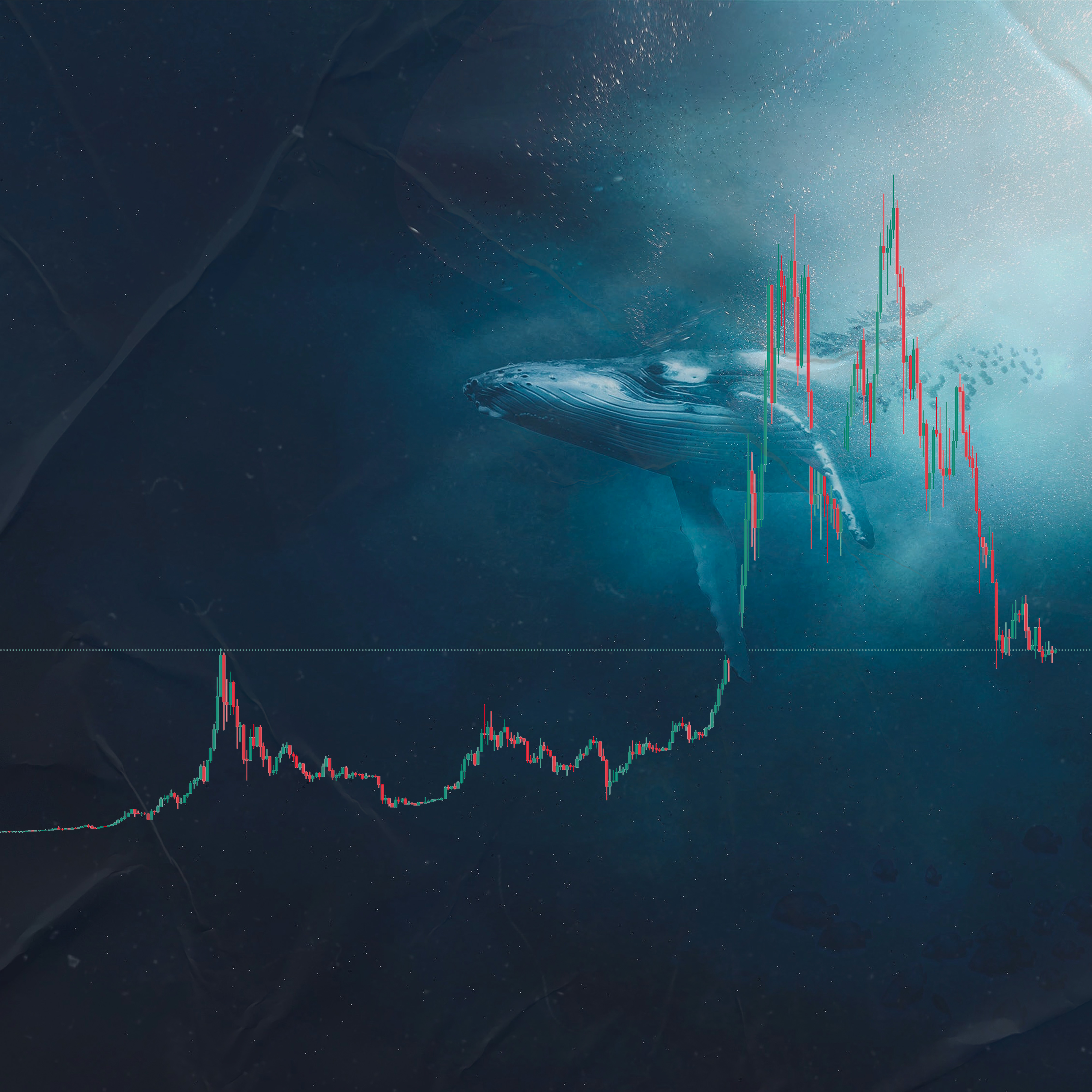 pop-whale