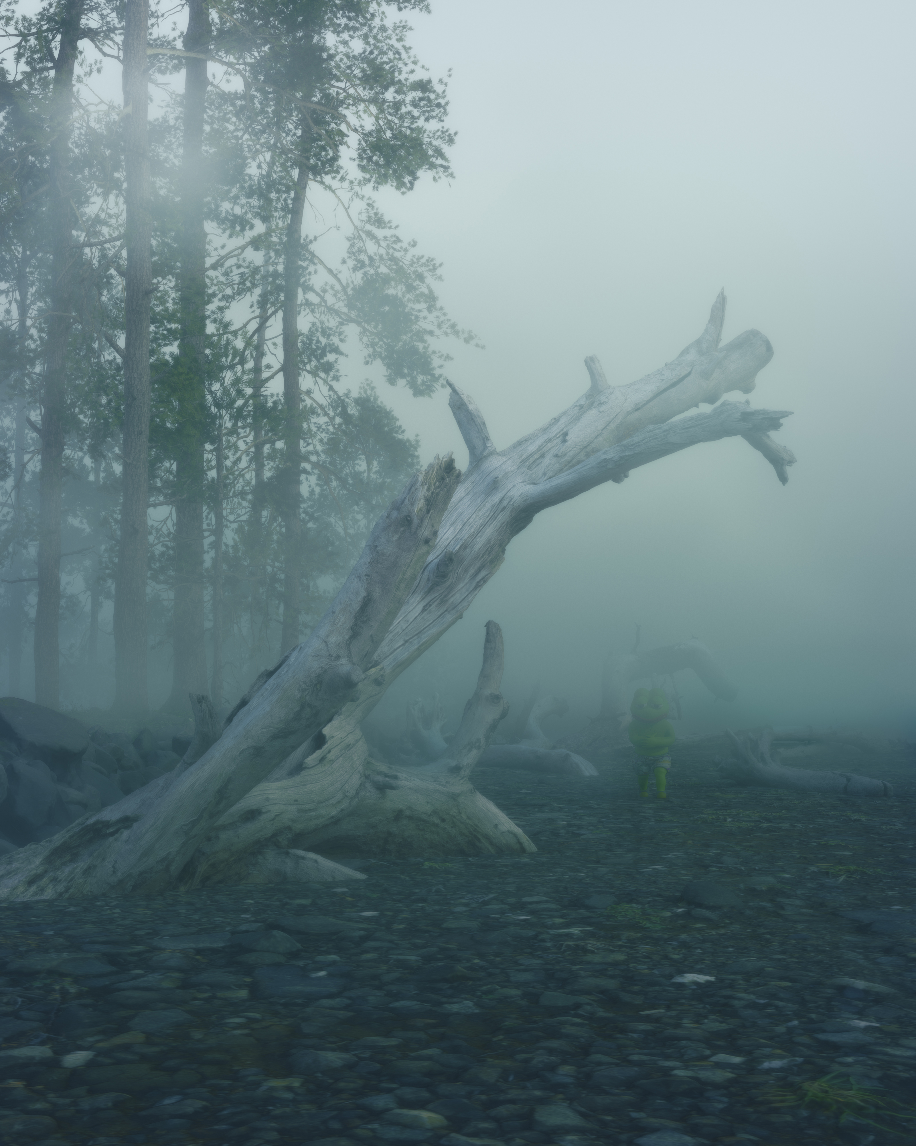 After The Fall