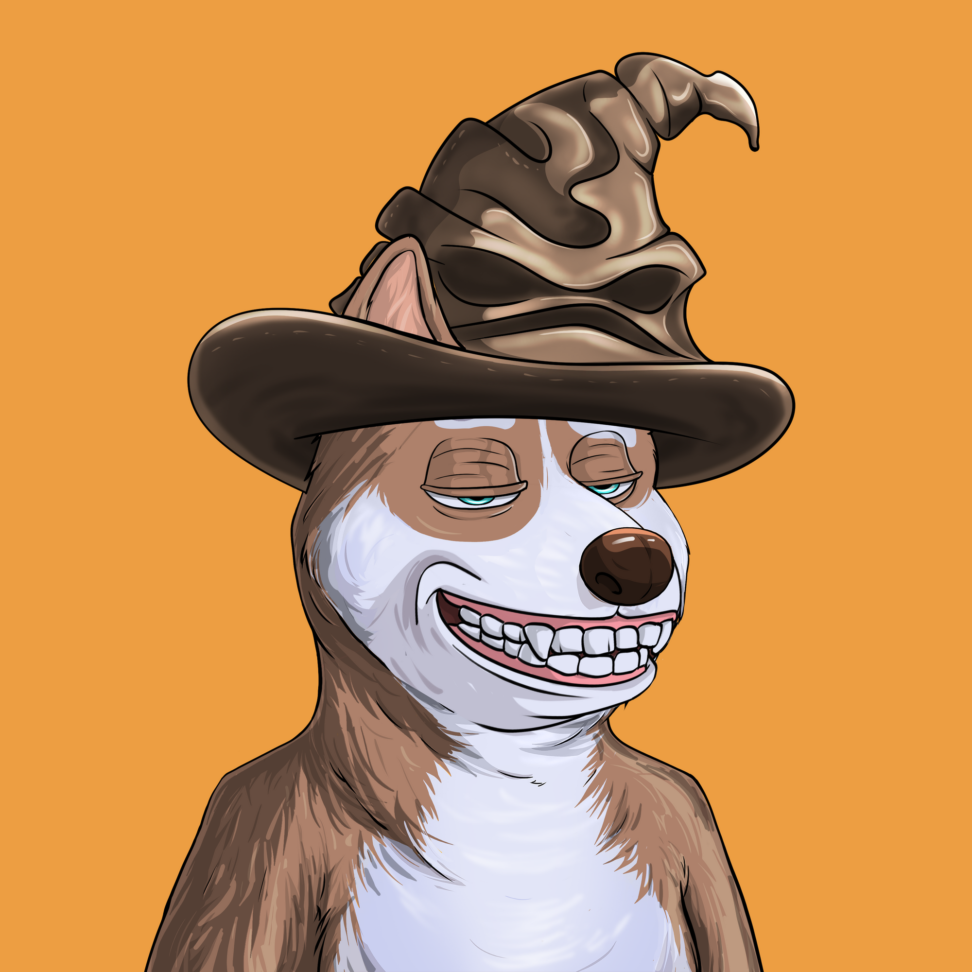 Shibe #983