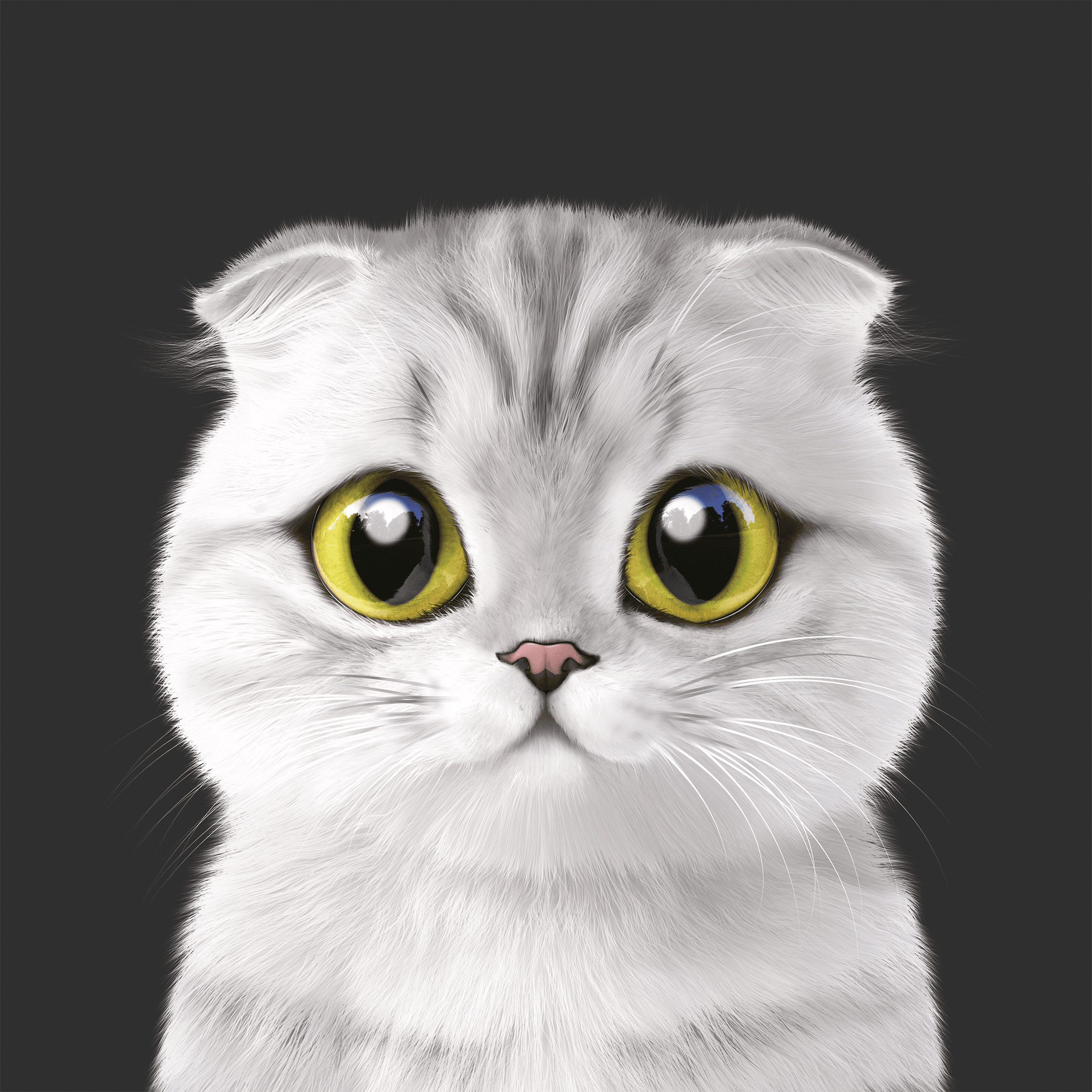 #220 Toki