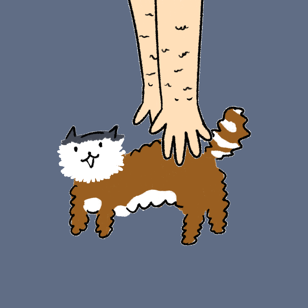 #1 Hashimoto Cat