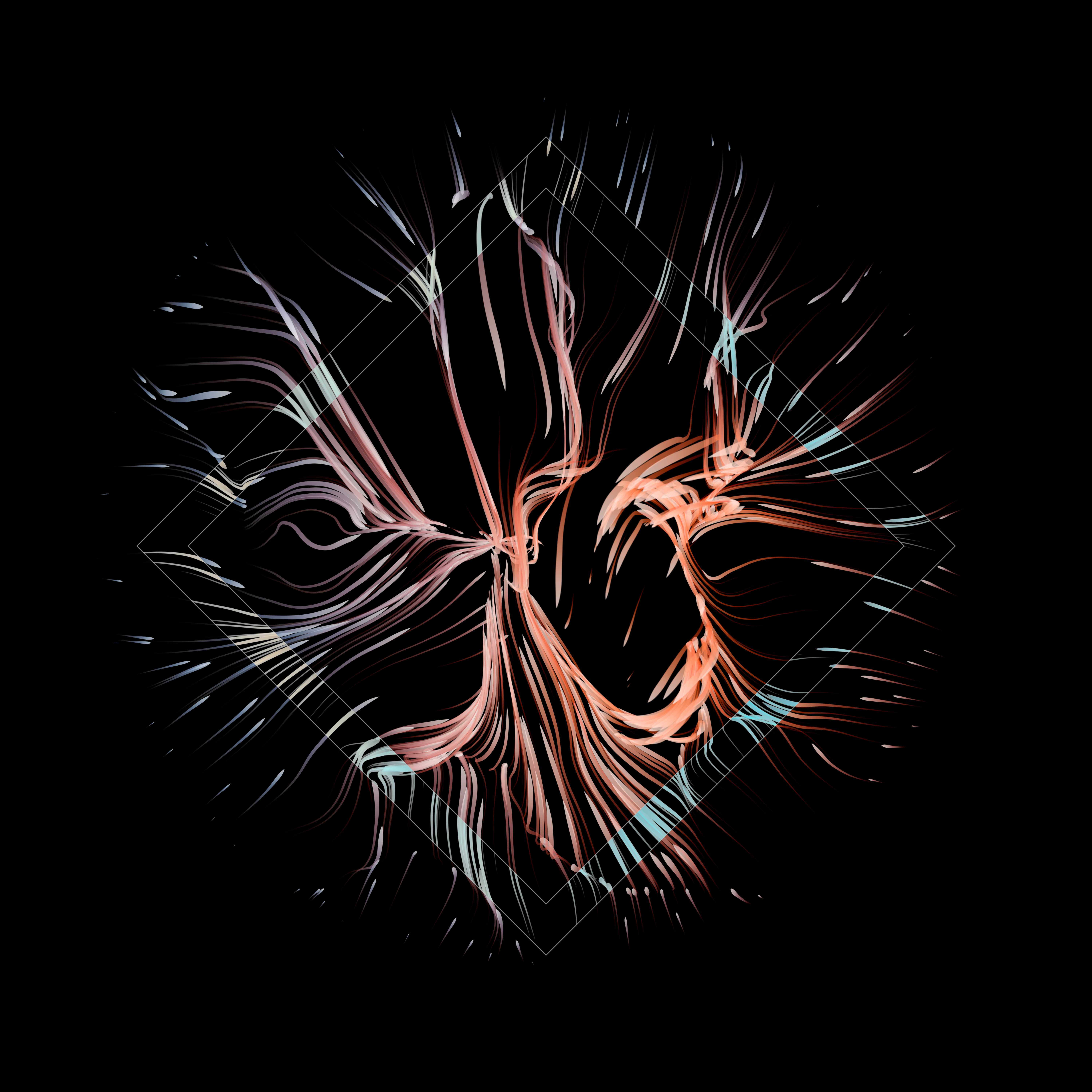 Vortex #1025