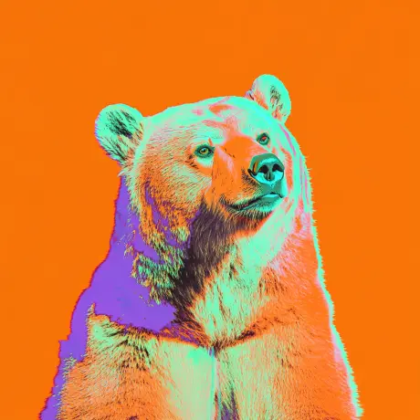 bear #1473