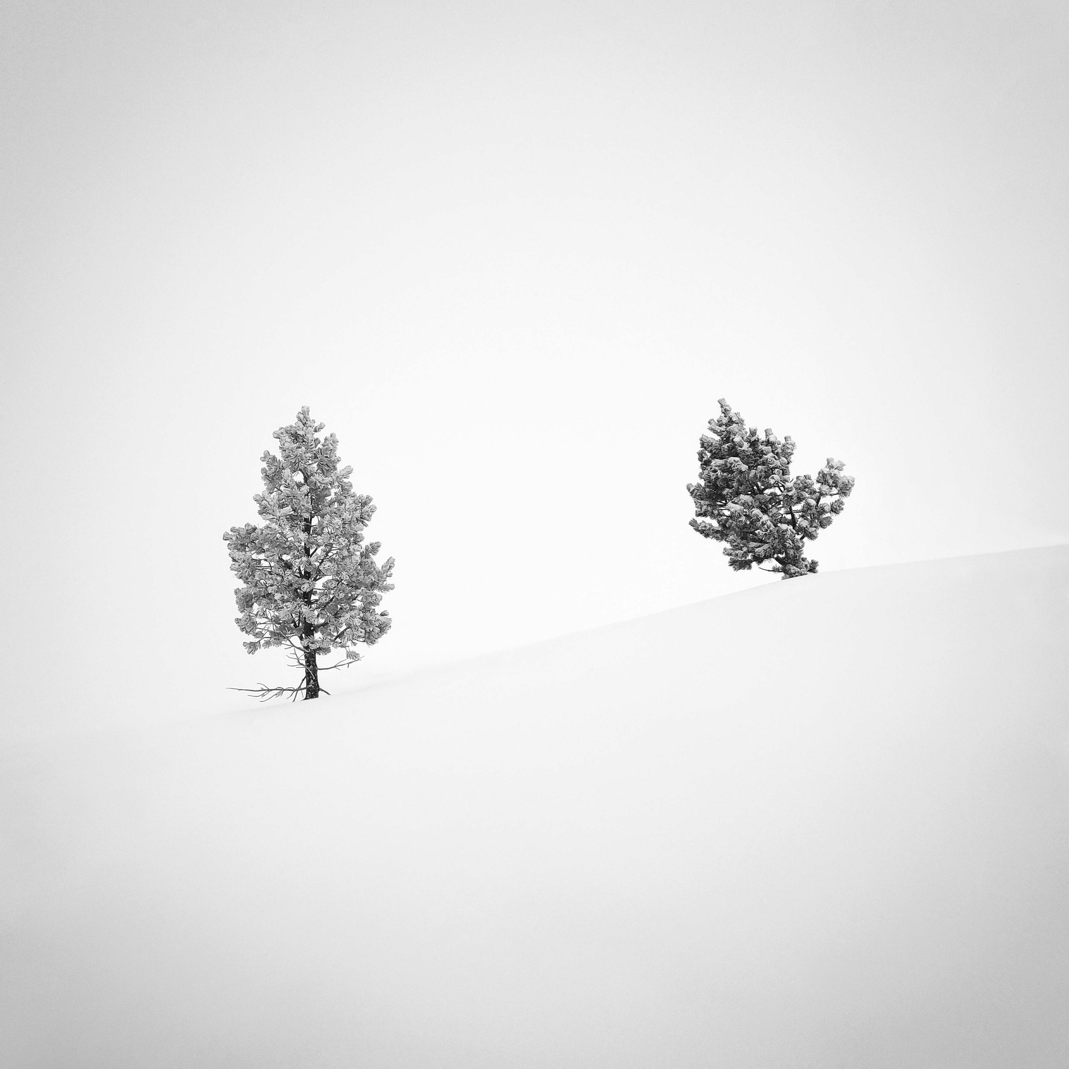 Up & Down