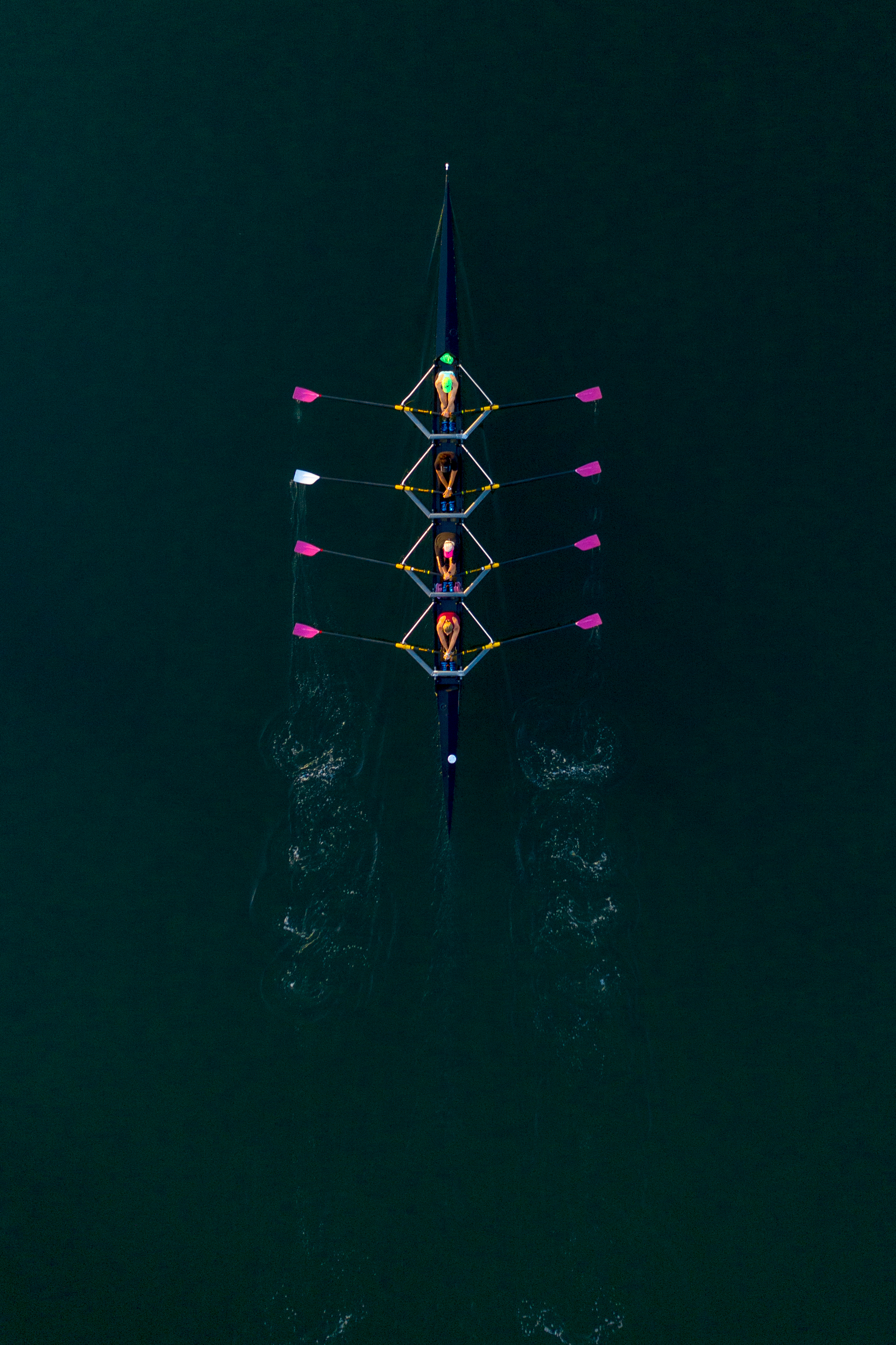 Regatta