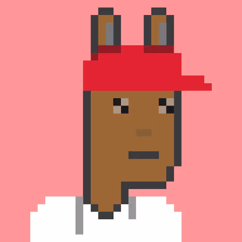 Mr Rabbit