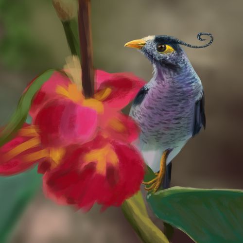 Bird