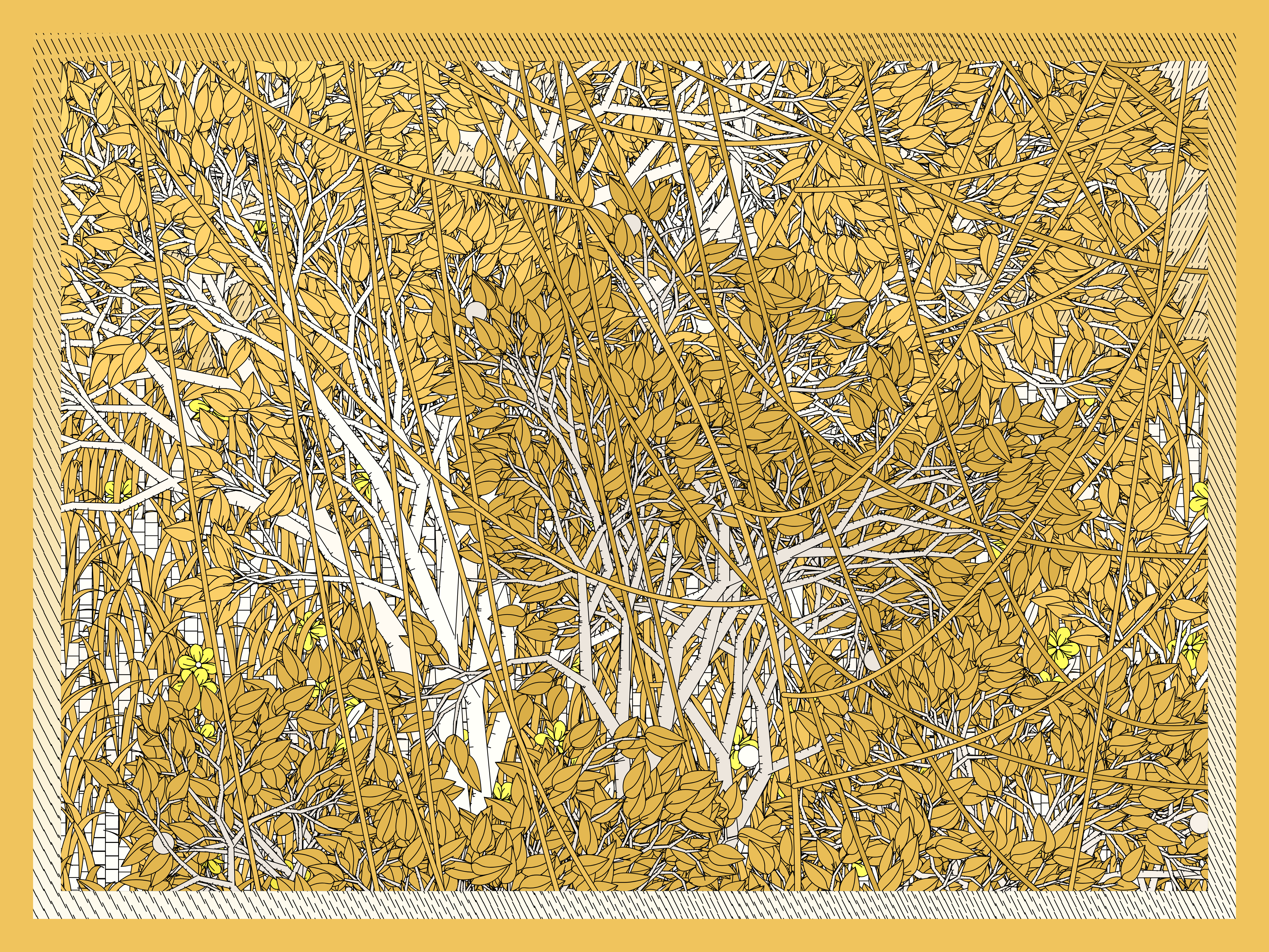 Entangled #9