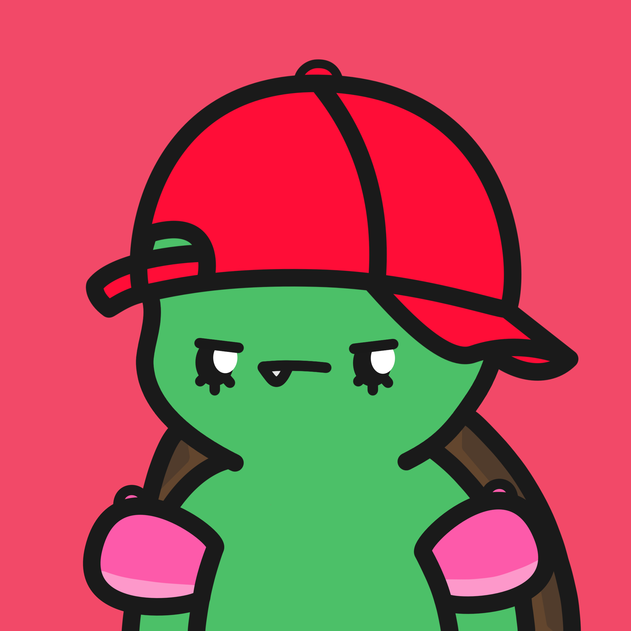Turtle Town #6256