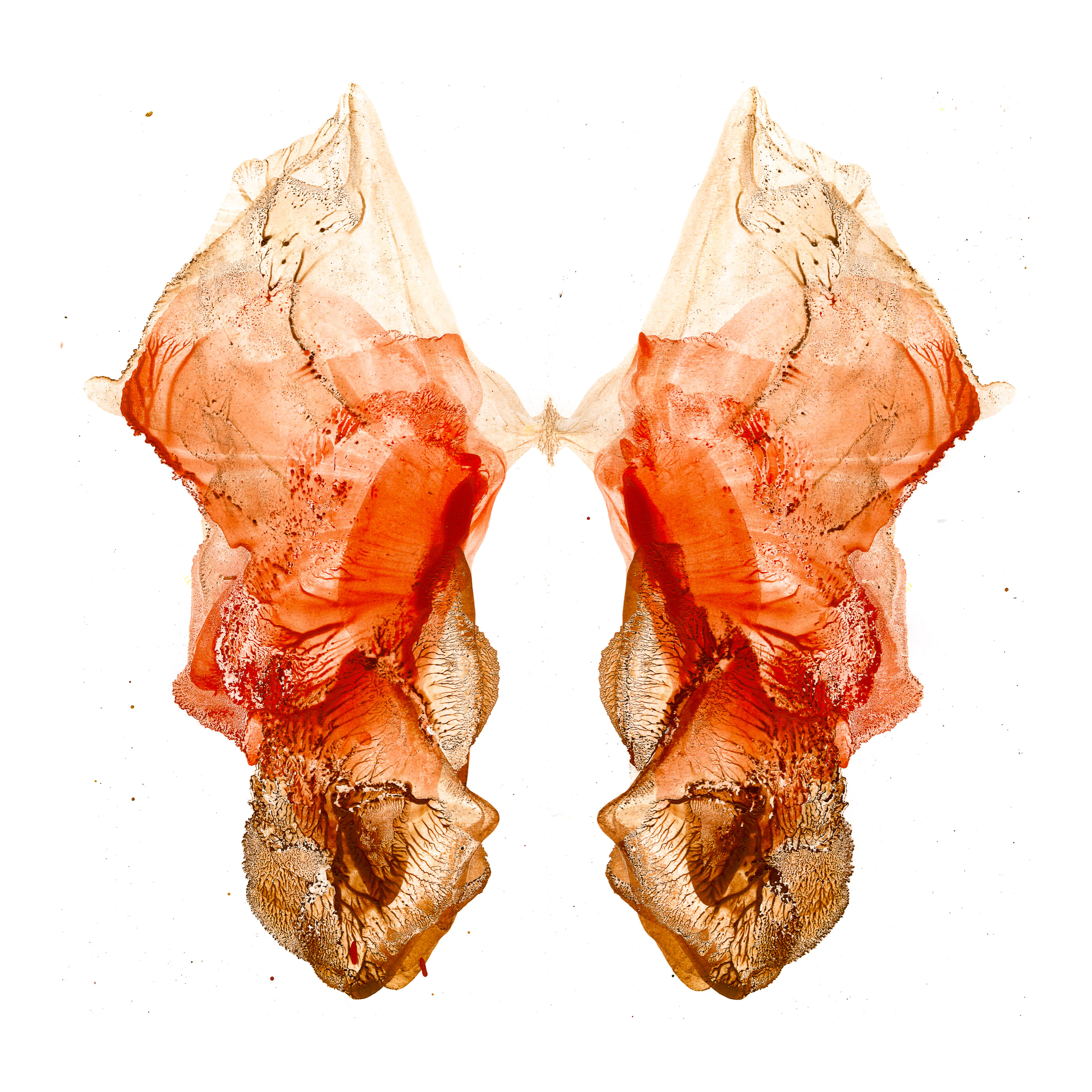 Aggression and Sexuality // urges and impulses (#32) 