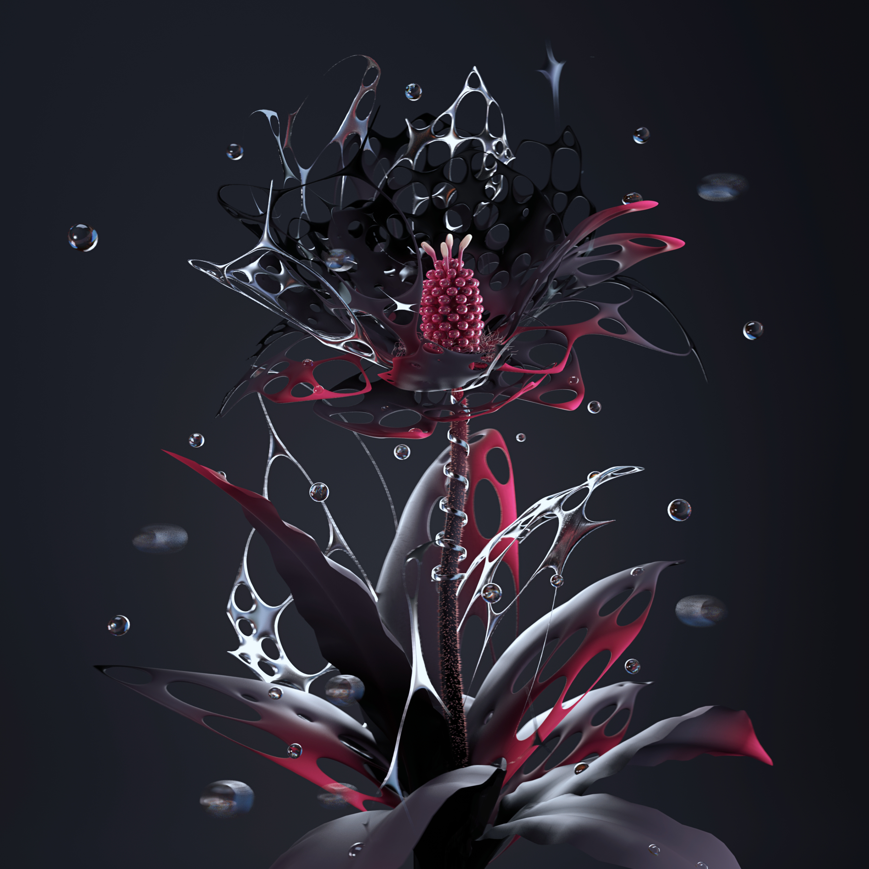 Bloom 2.0