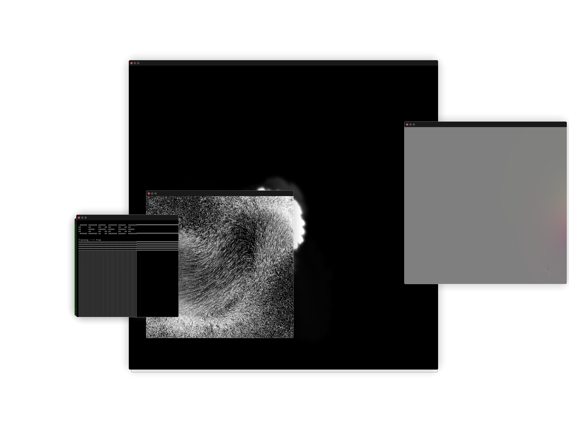 Cerebellum #14