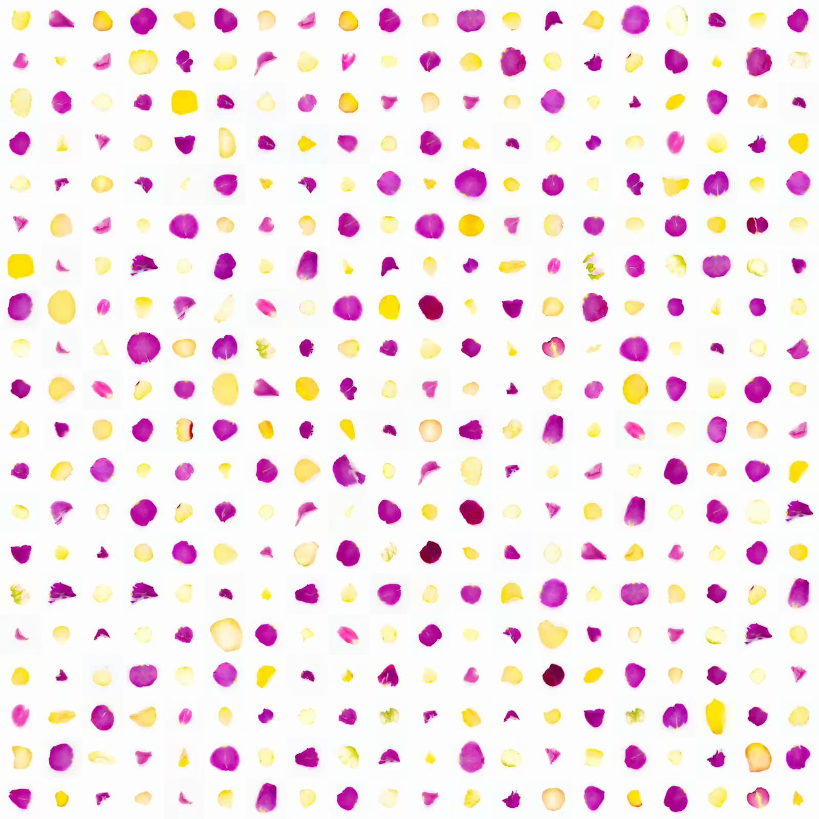 Infinite Petals 20x20#5667