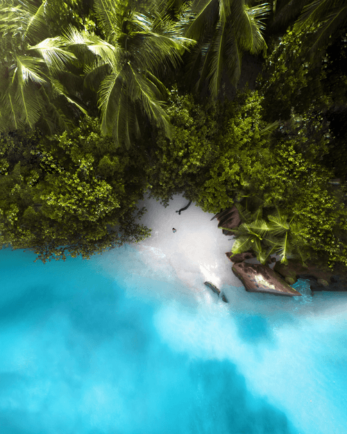 #11: Tropical Seclusion 