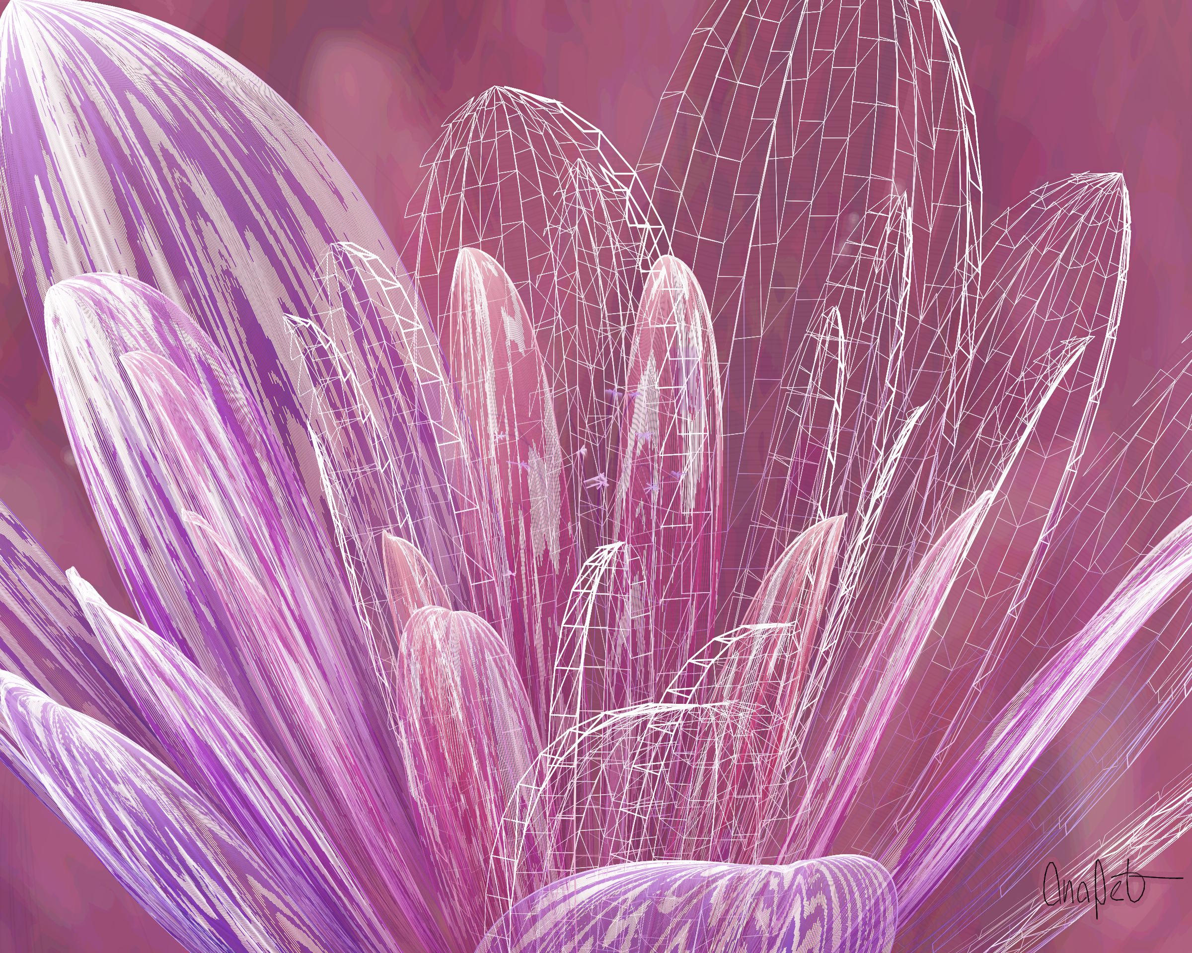 Fleur #68