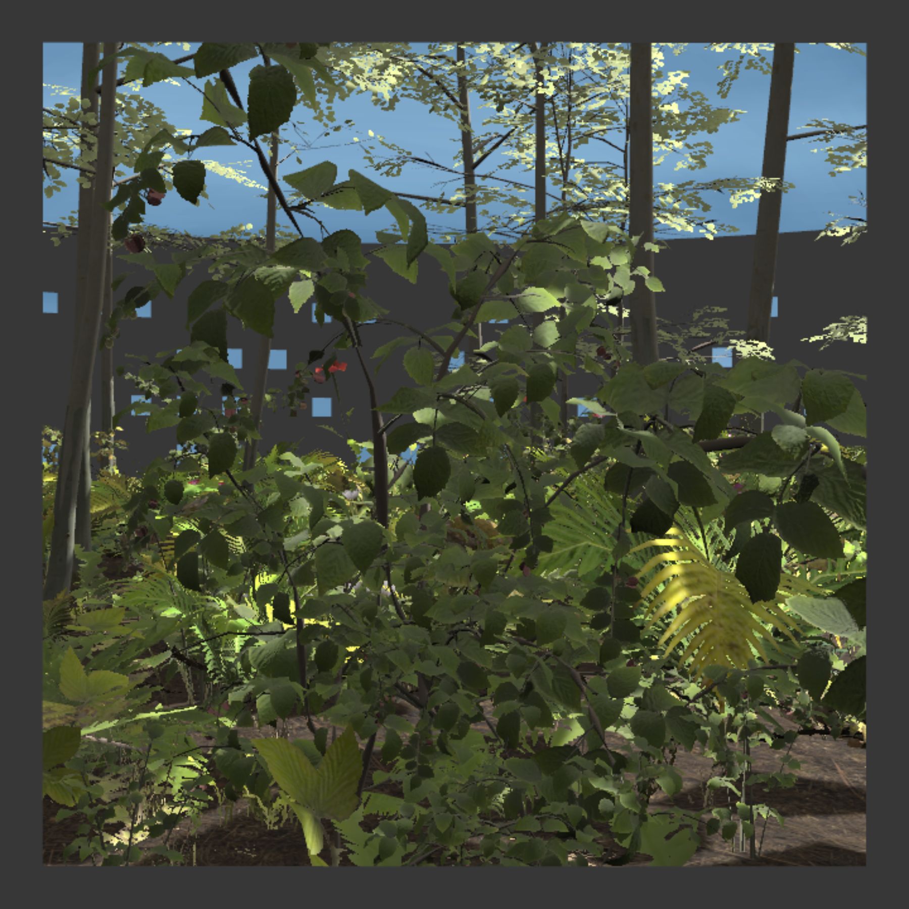 Glimpse